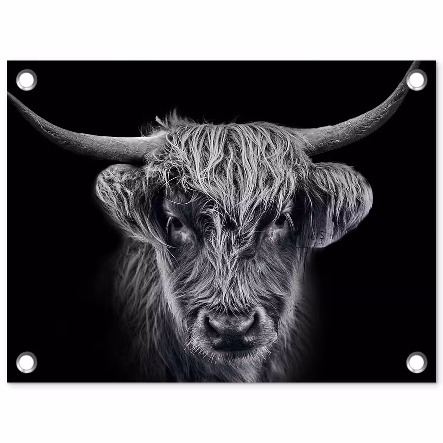 Schotse hooglander - Zwart - Koe - Dieren tuinposter los doek klein -3d