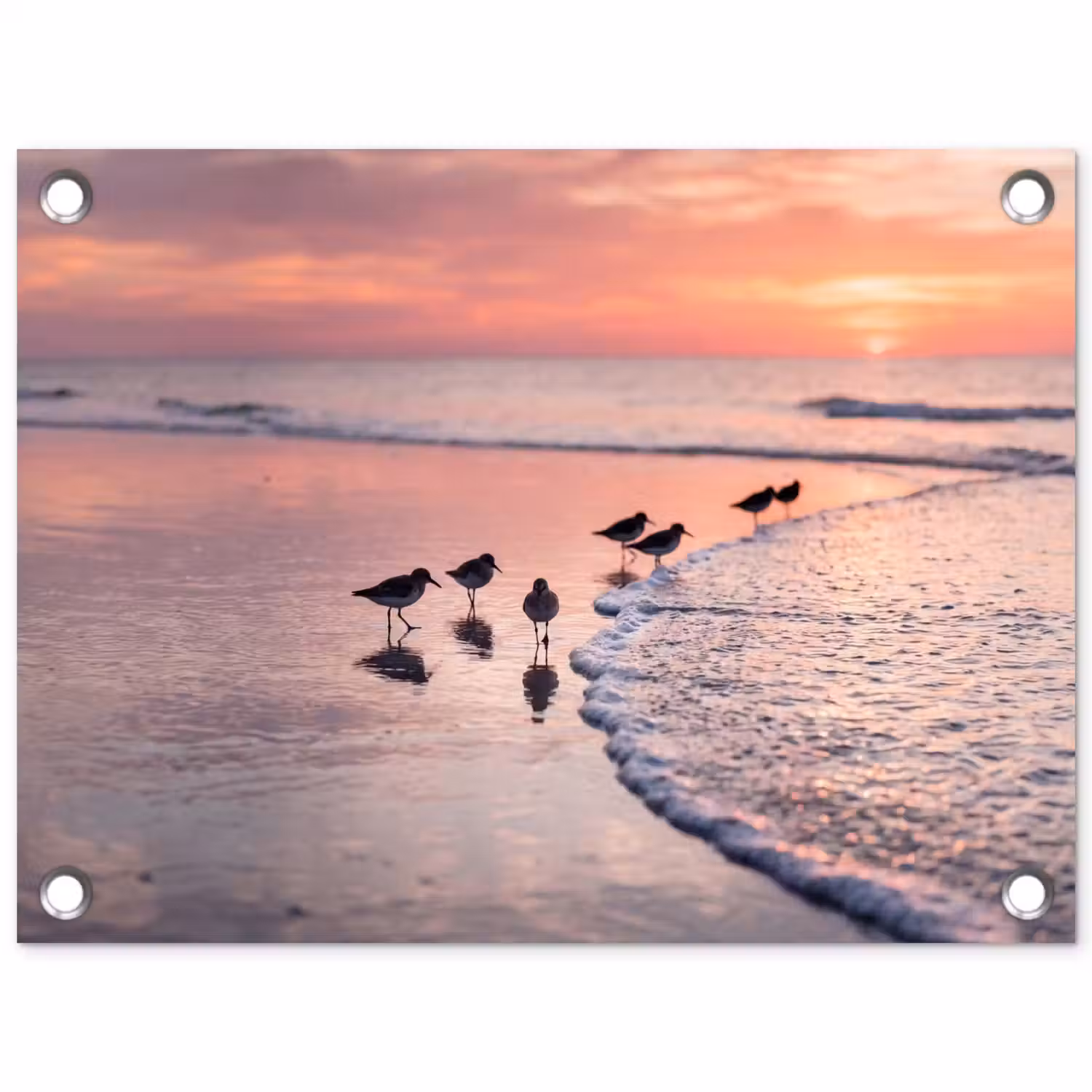 Meeuwen - Strand - Zee - Roze tuinposter los doek klein -3d