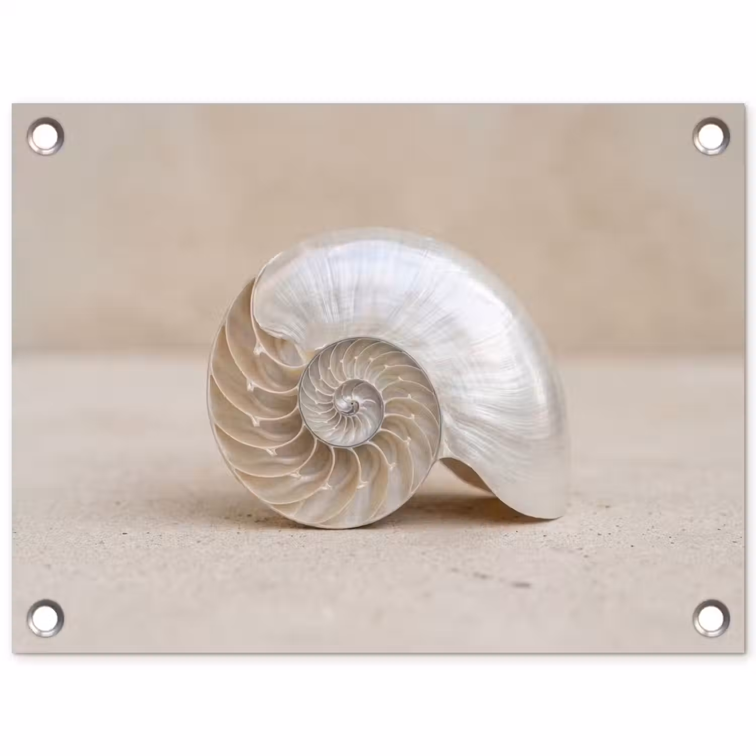 Schelp - Spiraal - Beige tuinposter los doek klein -3d