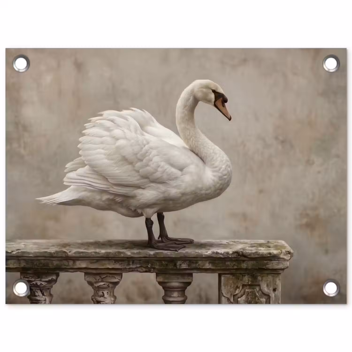 Zwaan - Elegant - Dieren - Wit tuinposter los doek klein -3d