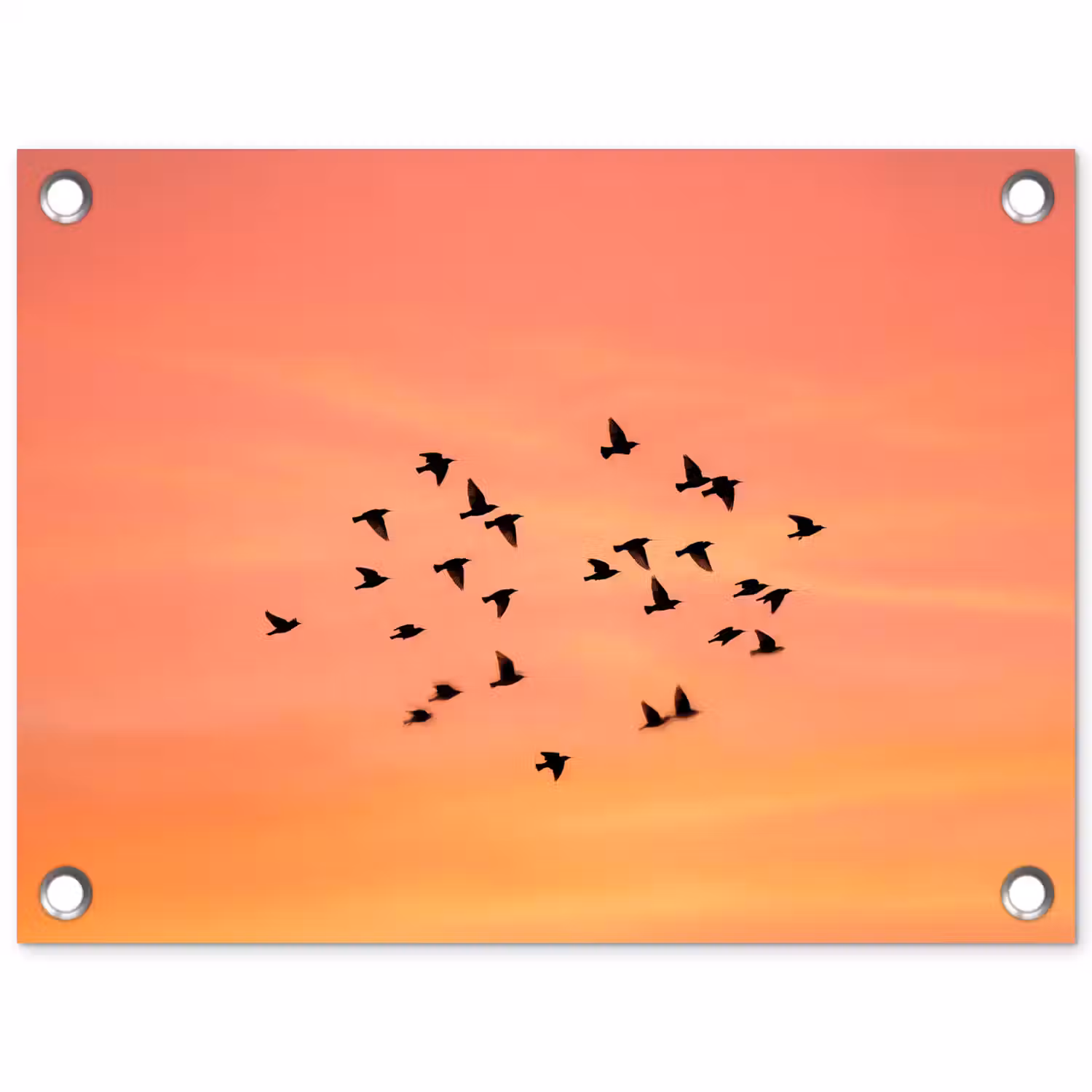 Zwerm - Vogels - Oranje tuinposter los doek klein -3d