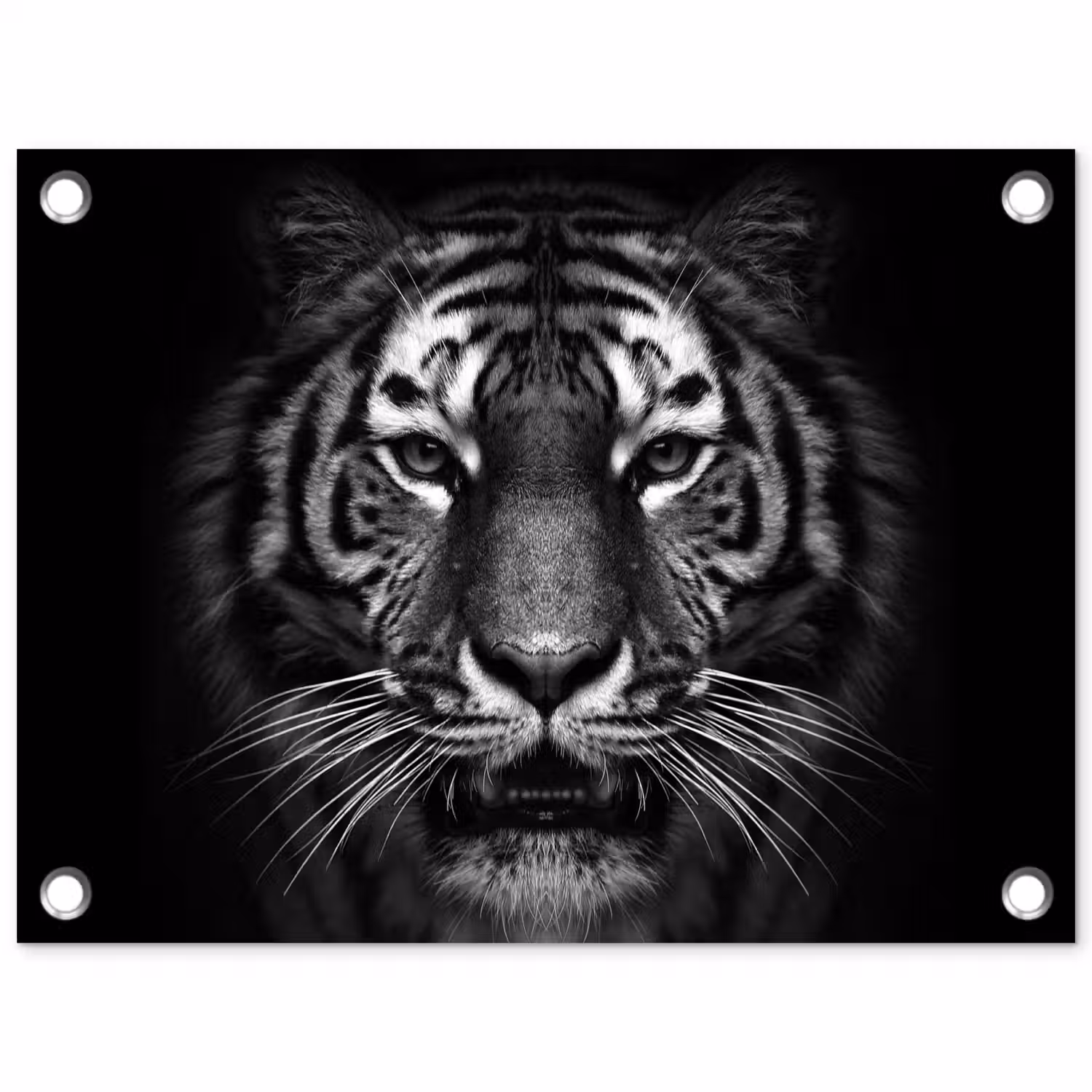 Tijger - Dieren - Zwart - Wit - Portret - Wild tuinposter los doek klein -3d