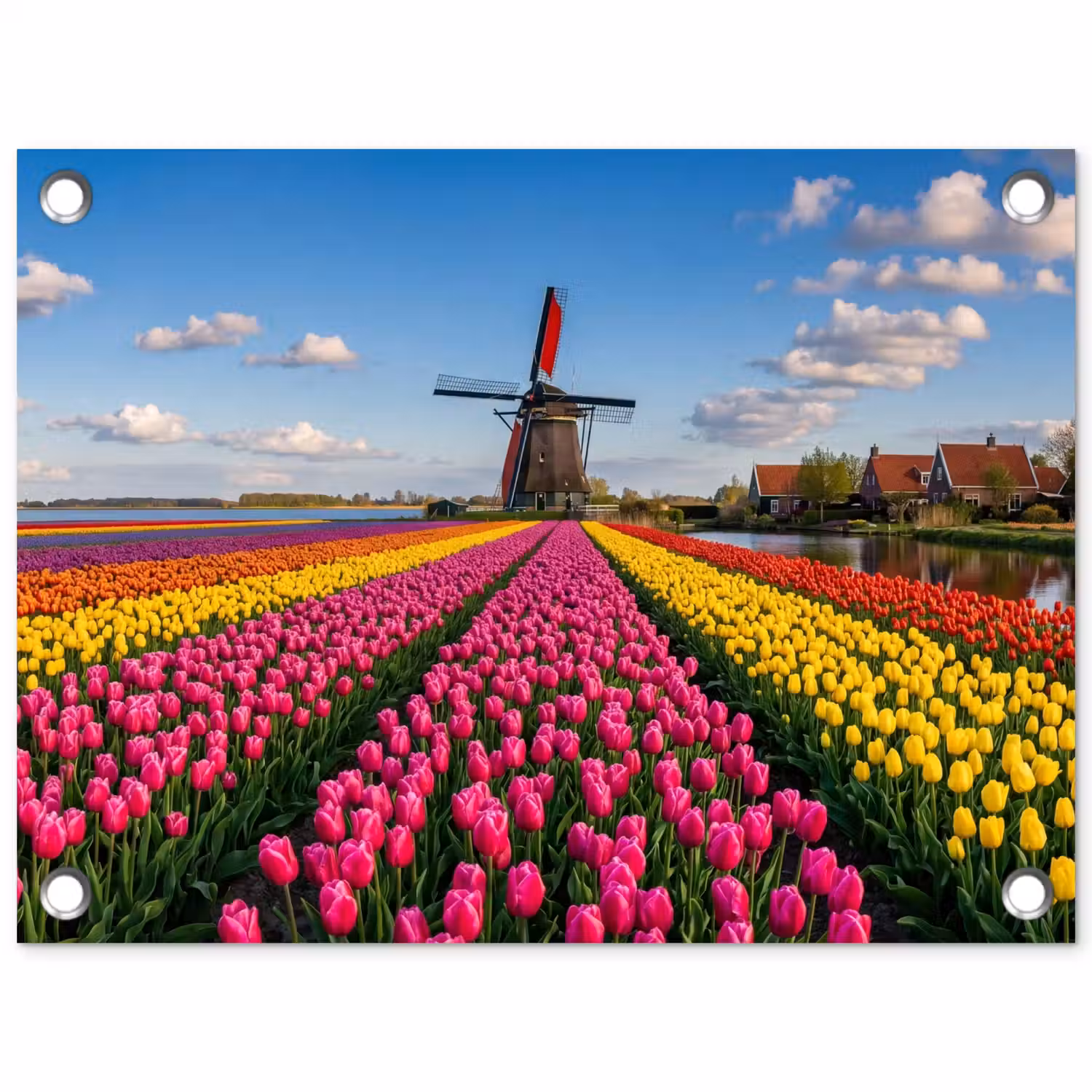Tulpen - Holland - Molen - Kleurrijk tuinposter los doek klein -3d