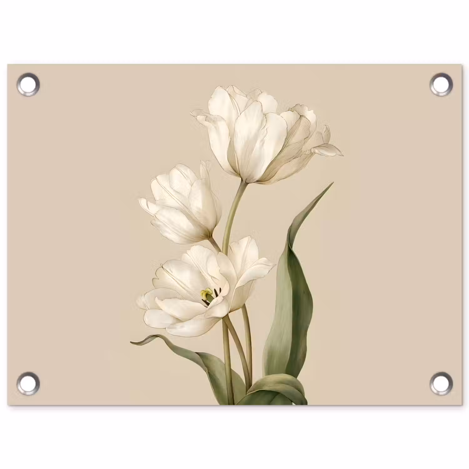 Tulpen - Wit - Bladeren tuinposter los doek klein -3d