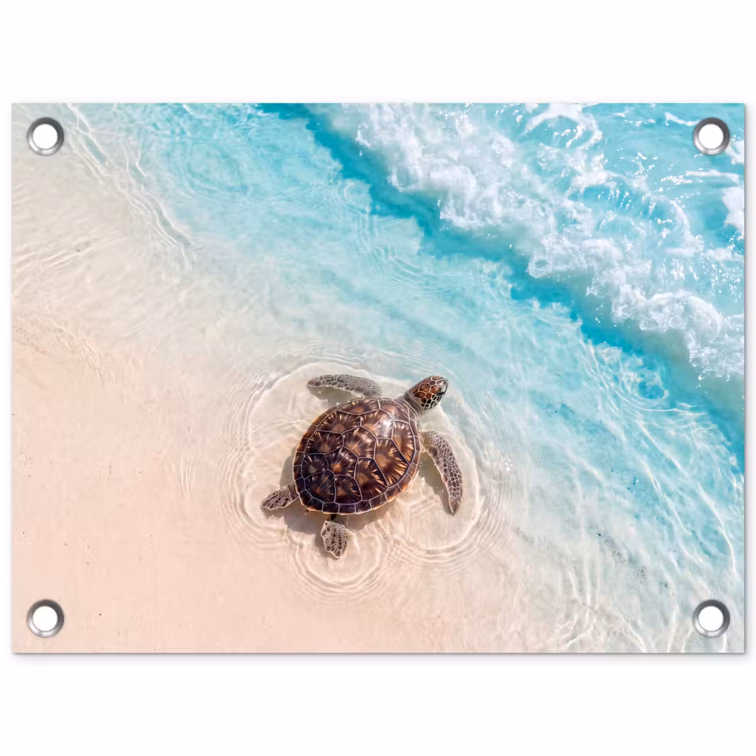 Schildpad - Helder water - Strand - Dieren - Natuur tuinposter los doek klein -3d