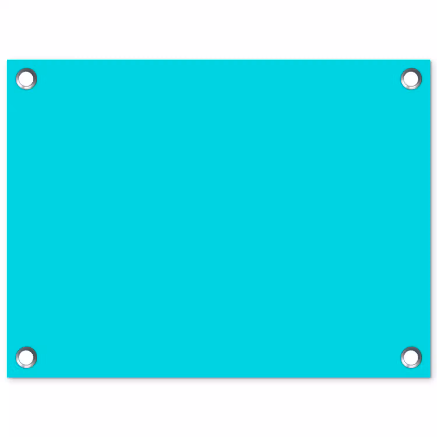 Vivid - Aquamarine - Turkoois tuinposter los doek klein 239 -3d