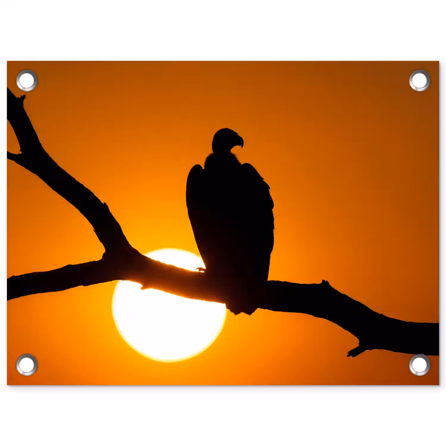 Gier - Tak - Zon - Oranje tuinposter los doek klein -3d