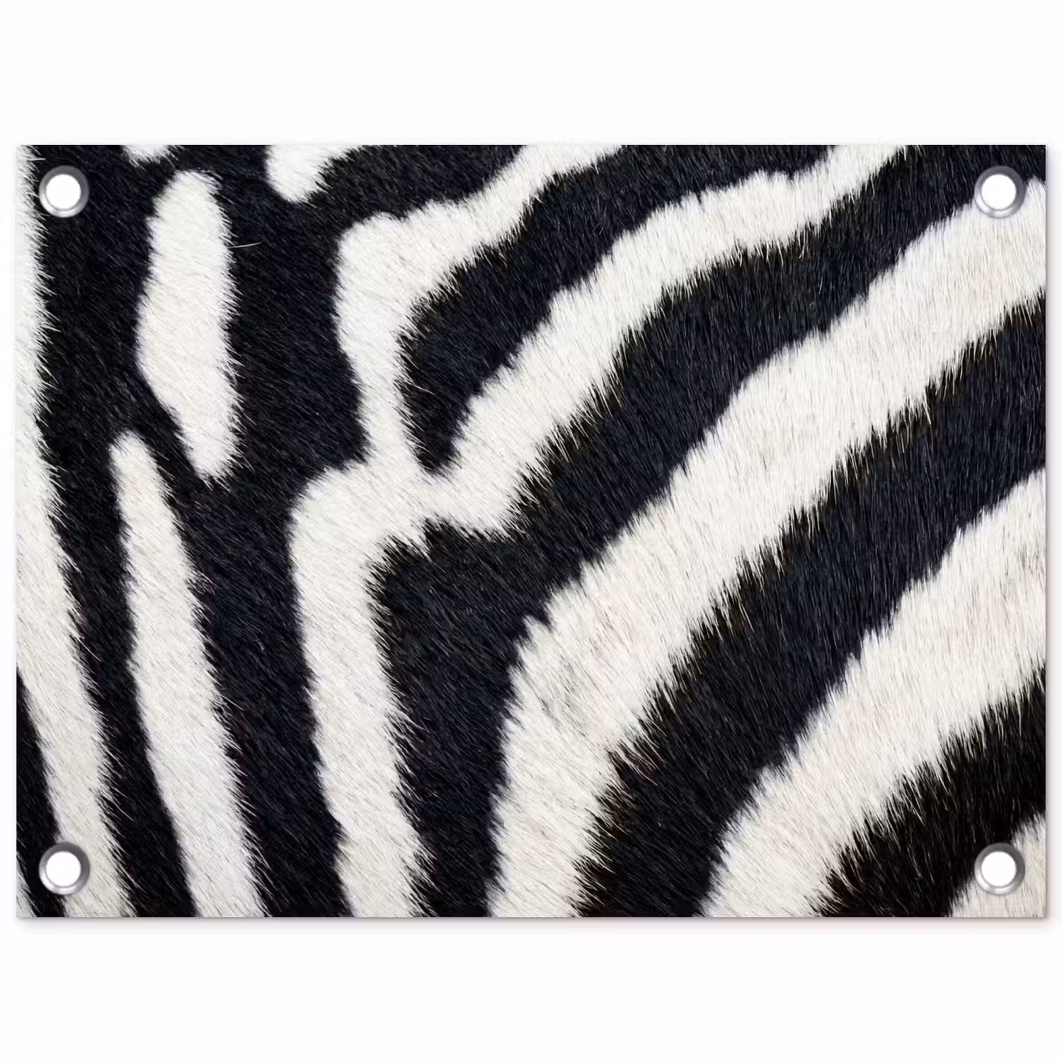 Zebra - Vacht - Klassiek - Zwart - Wit tuinposter los doek klein -3d