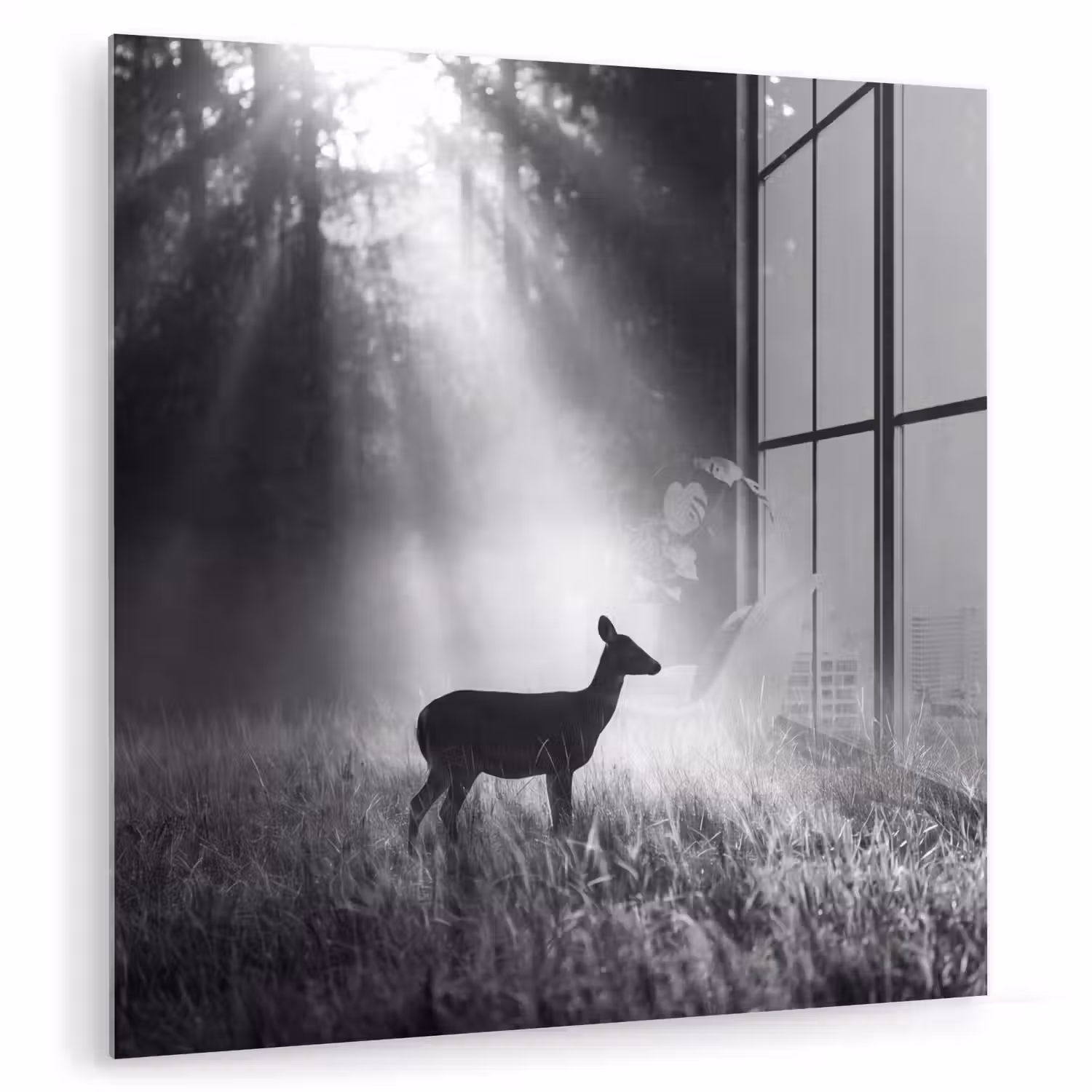 Hert - Bos - Zonnestralen - Zwart-wit - Natuur plexiglas 5mm klein -zzzproduct_nieuw