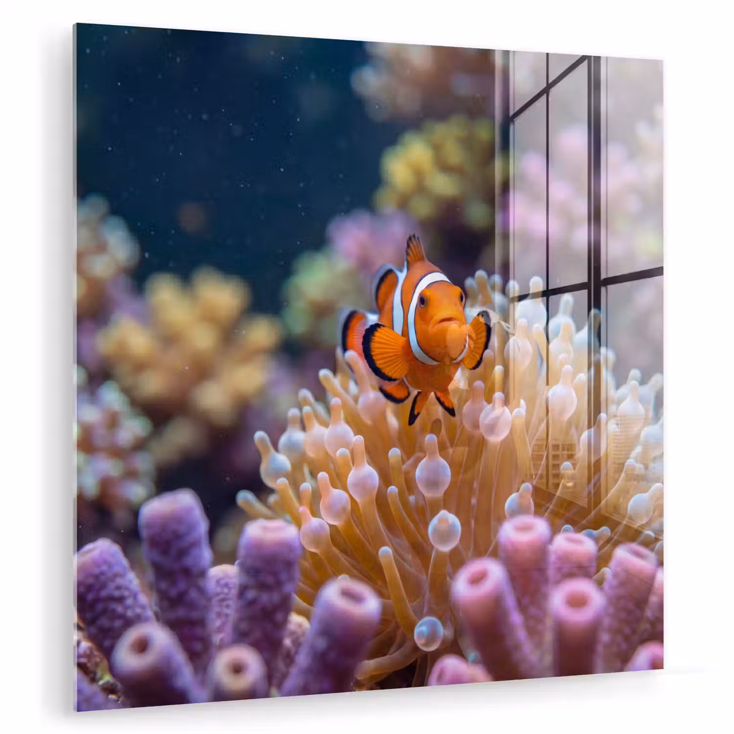 Vis - Koraal - Onderwater - Oranje - Dieren plexiglas 5mm klein -zzzproduct_nieuw
