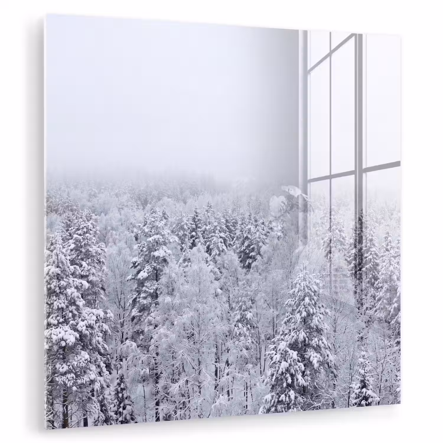 Bos - Sneeuw - Winter - Natuur - Wit plexiglas 5mm klein -zzzproduct_nieuw
