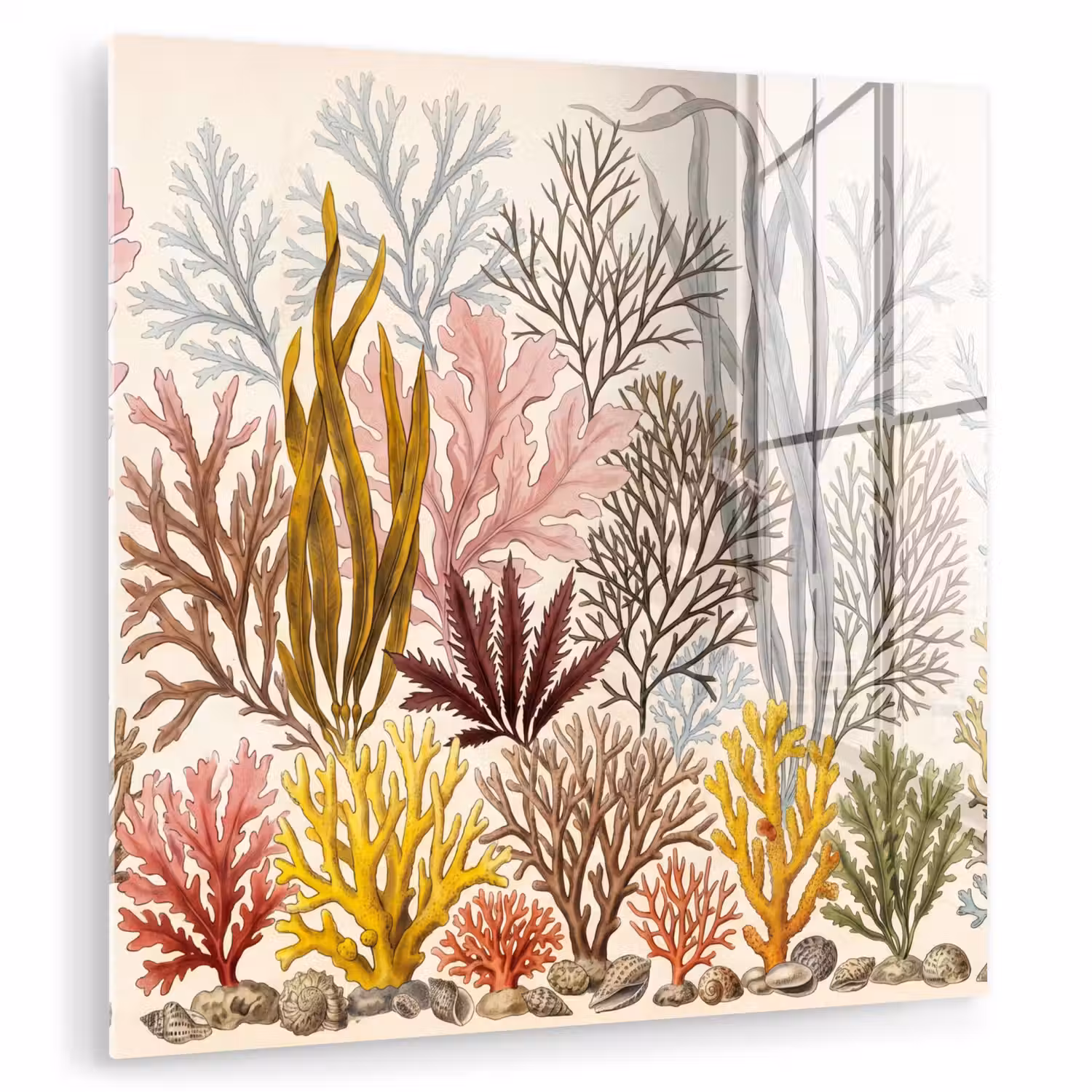 Natuur - Onderwater - Botanisch - Vintage - Kleurrijk plexiglas 5mm klein -zzzproduct_nieuw