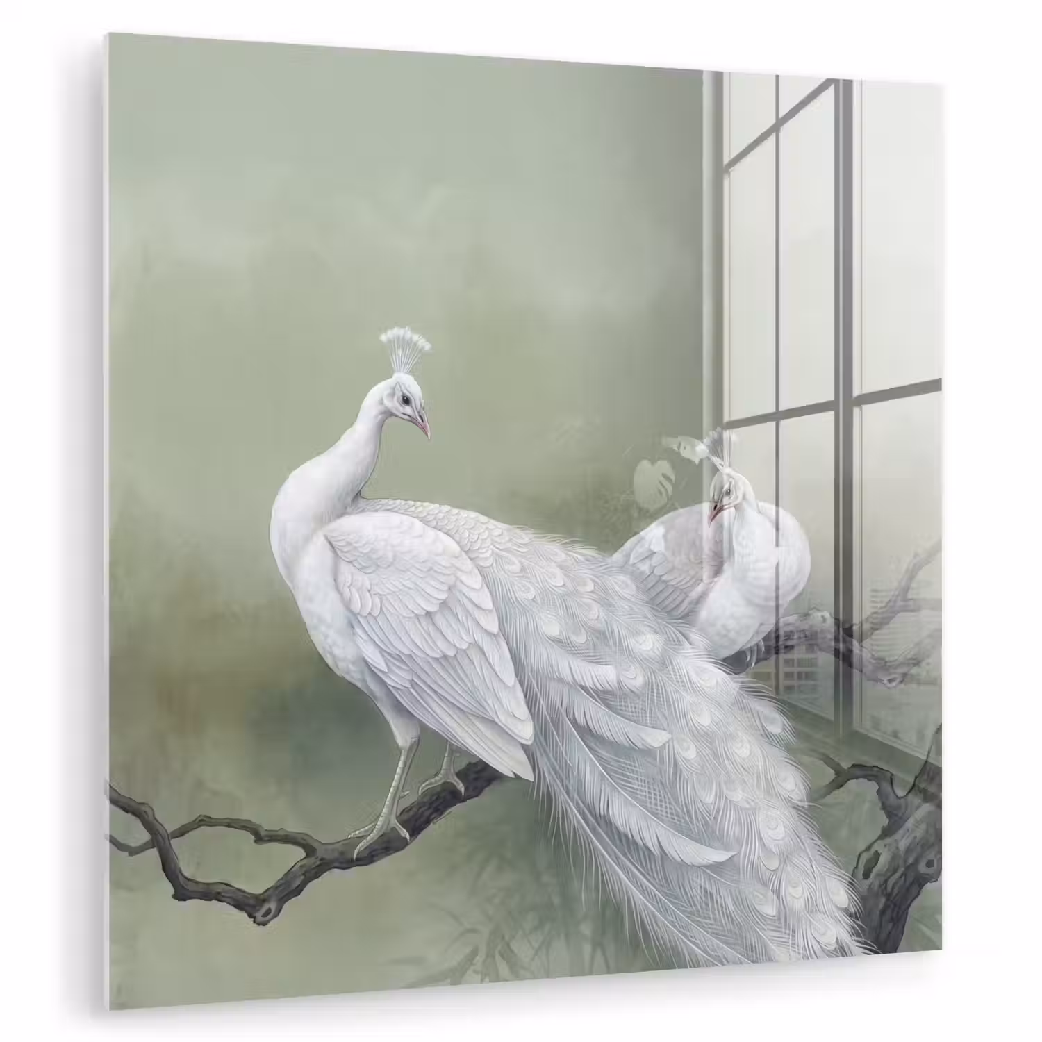 Pauwen - Wit - Natuur - Groen plexiglas 5mm klein -zzzproduct_nieuw