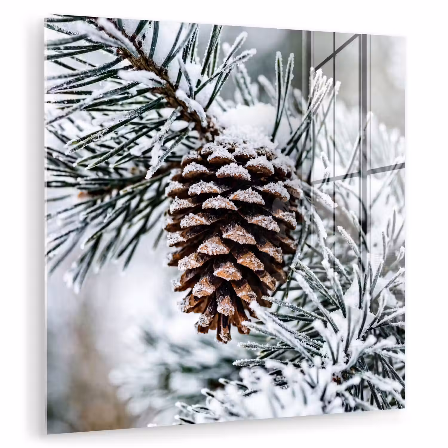 Dennenappel - Tak - Sneeuw - Winter - Sfeervol plexiglas 5mm klein -zzzproduct_nieuw