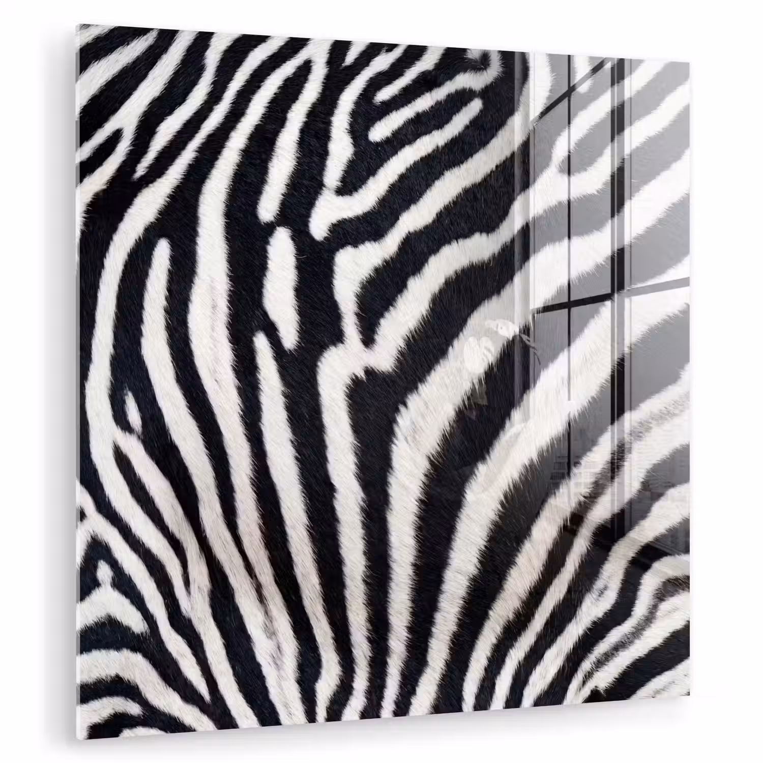 Zebra - Vacht - Klassiek - Zwart - Wit plexiglas 5mm klein -zzzproduct_nieuw