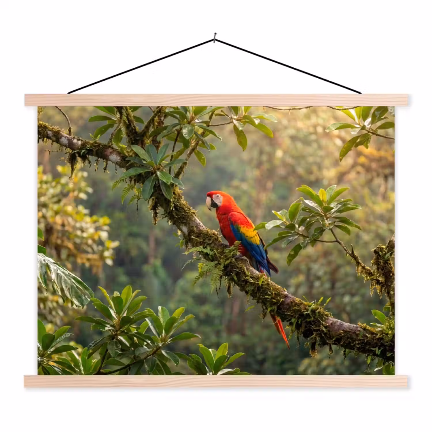 Ara - Jungle - Rood textielposter latten blank klein -3d