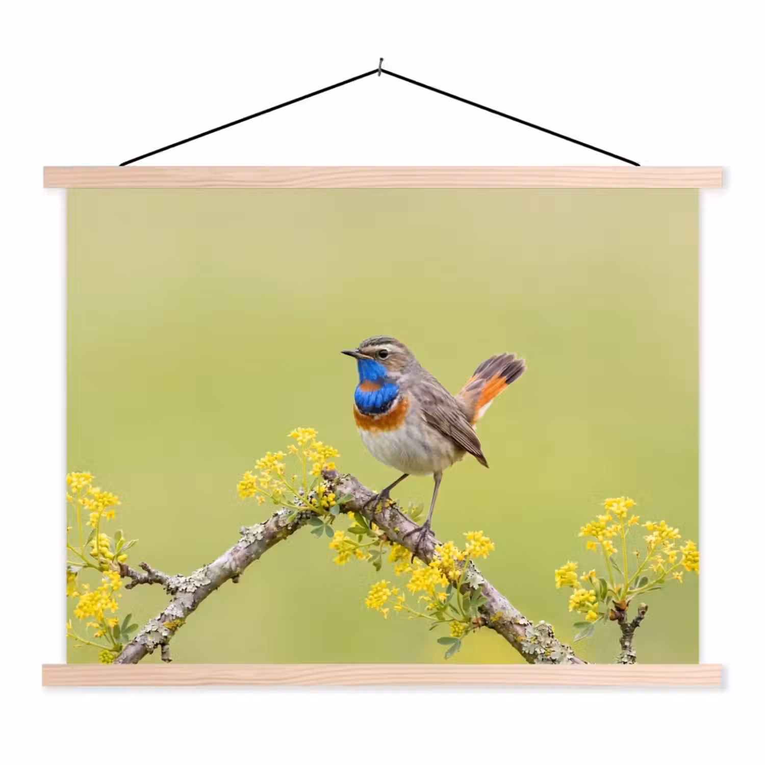 Vogel - Tak - Natuur - Kleurrijk textielposter latten blank klein -3d
