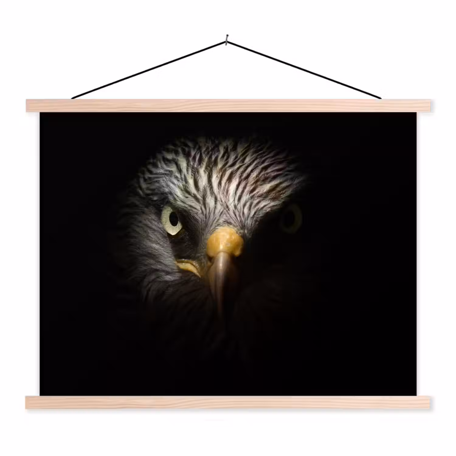 Vogel - Adelaar - Roofvogels - Oog - Snavel - Licht textielposter latten blank klein -3d