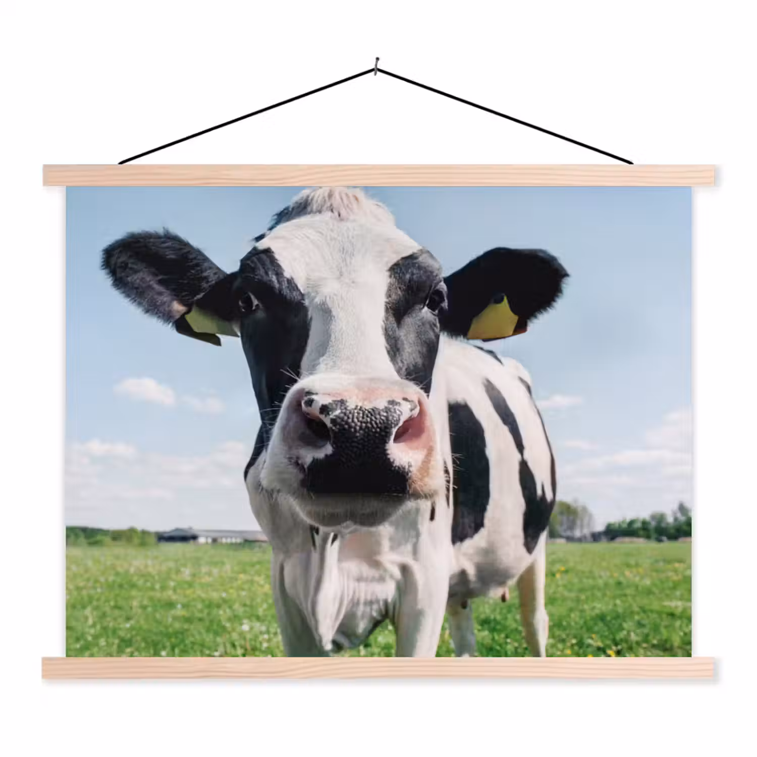 Koe - Weiland - Natuur - Dieren - Gras textielposter latten blank klein -3d