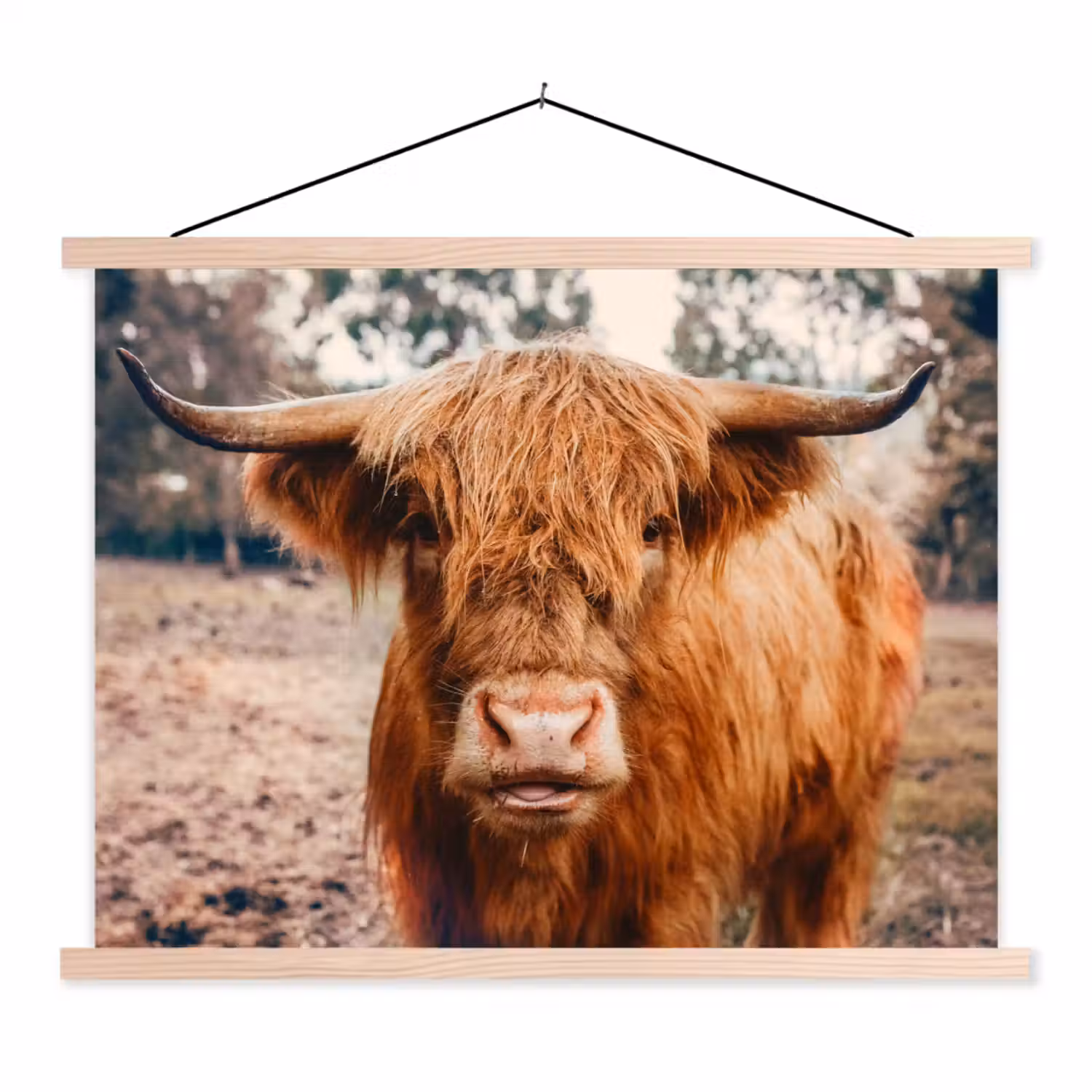 Koe- Schotse hooglander - Hoorns - Bruin - Landschap textielposter latten blank klein -3d
