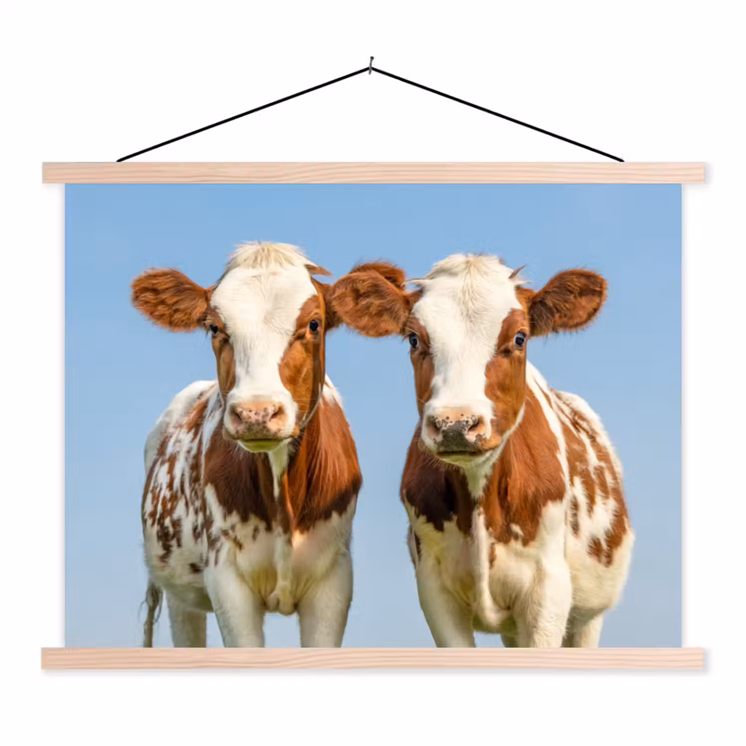 Koeien - Lucht - Dieren - Boerderij - Portret textielposter latten blank klein -3d