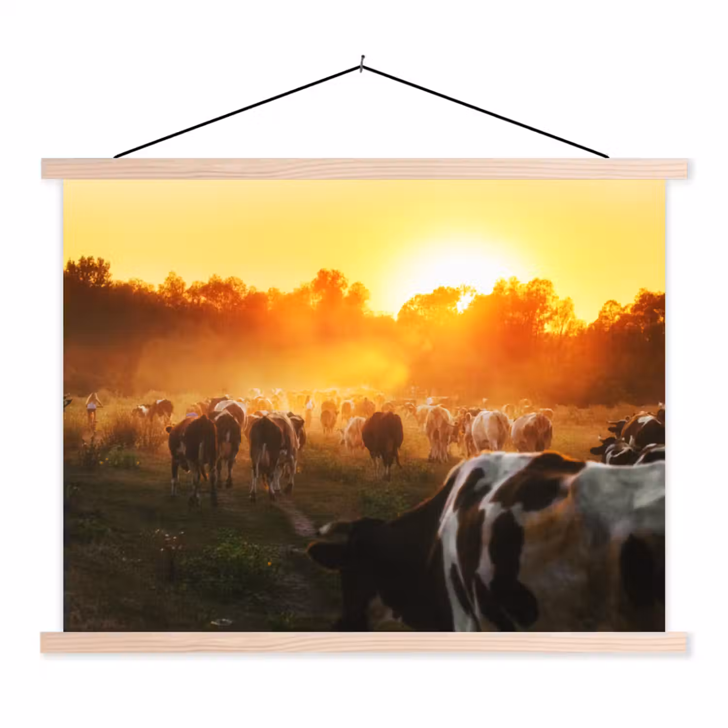 Koeien - Zonsondergang - Weiland - Dieren textielposter latten blank klein -3d