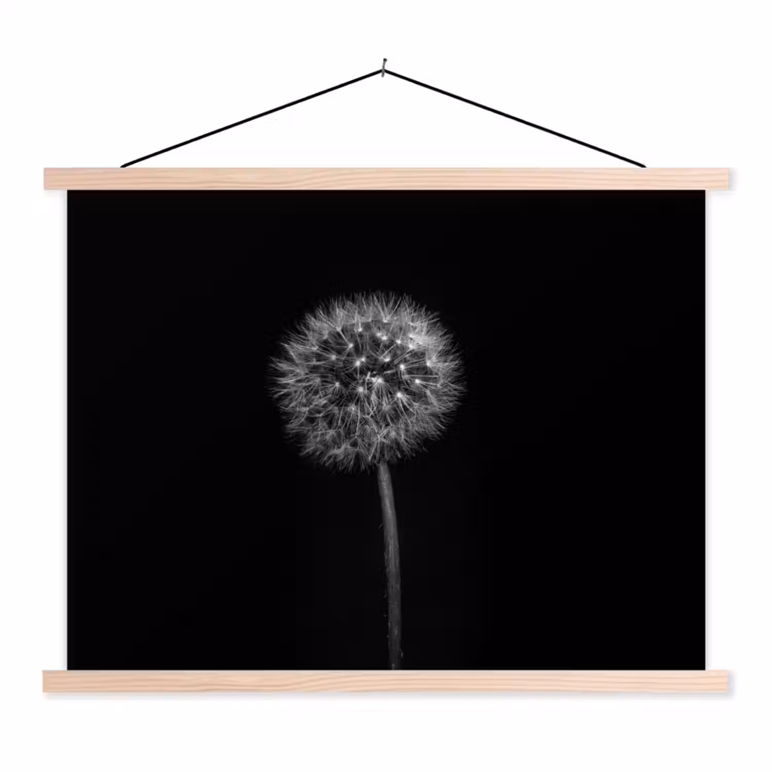 Paardenbloem - Zwart - Bloemen - Botanisch textielposter latten blank klein -3d