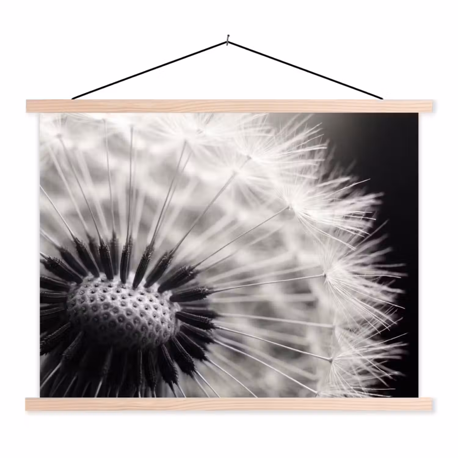 Paardenbloem - Zwart - Wit textielposter latten blank klein -3d