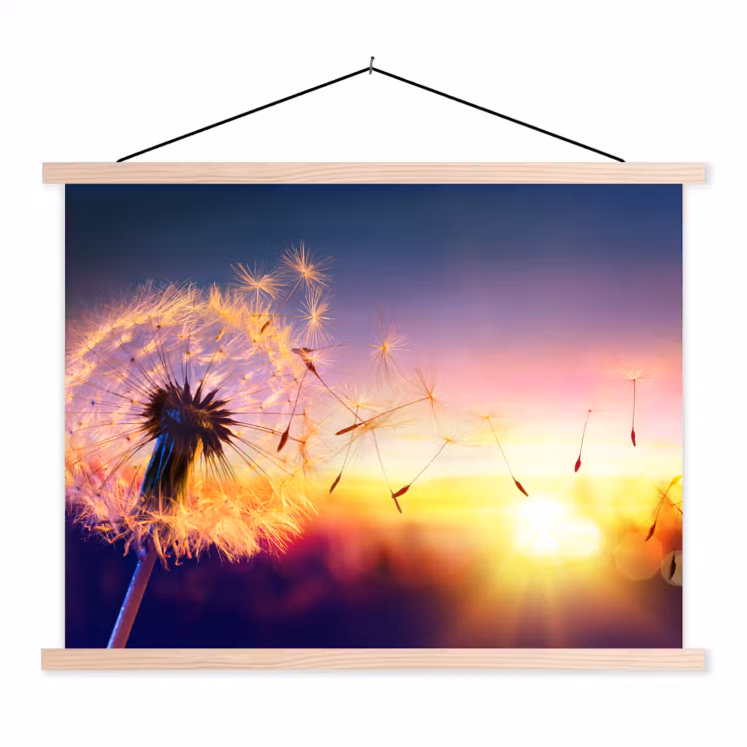 Paardenbloem - Bloemen - Zonsondergang - Horizon - Nacht textielposter latten blank klein -3d
