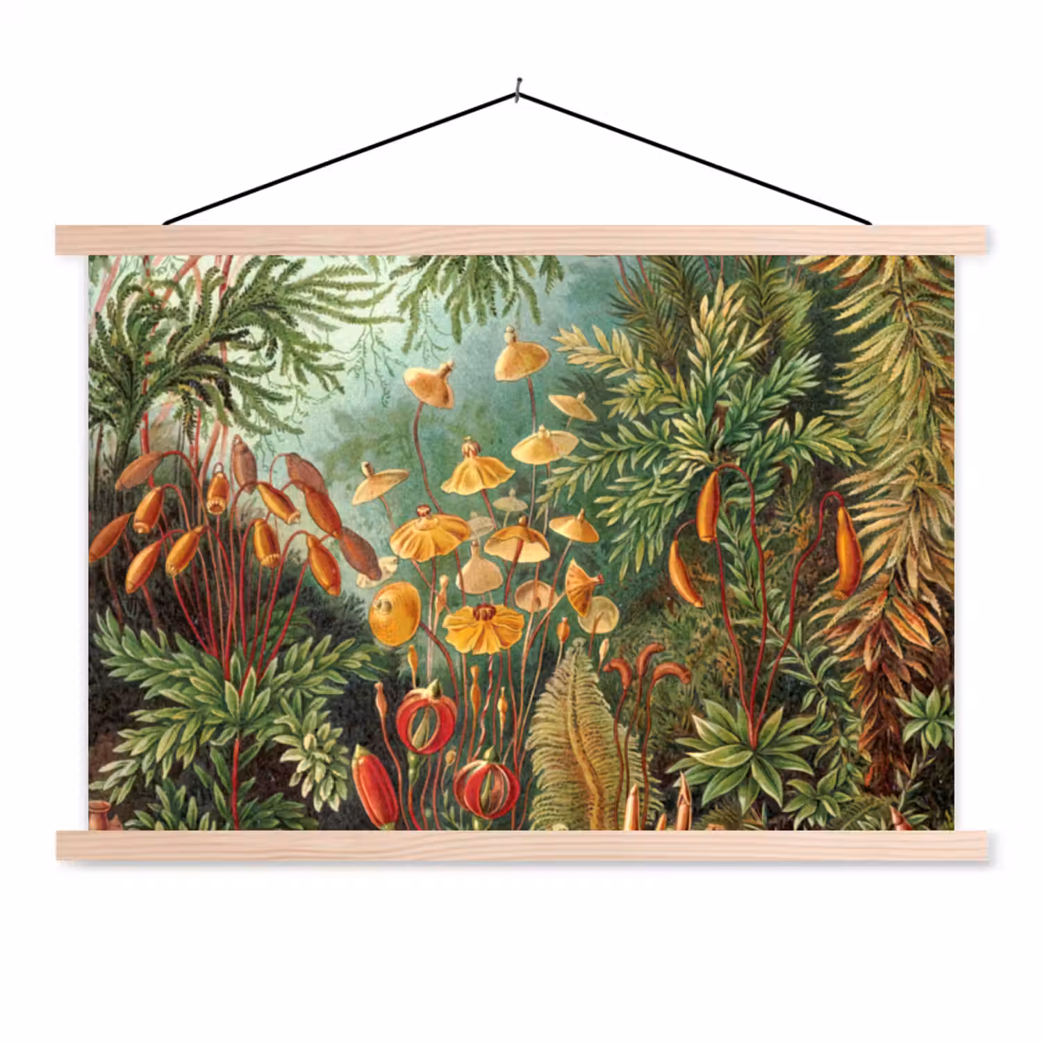 Design - Natuur - Paddenstoelen - Ernst Haeckel textielposter latten blank klein -3d
