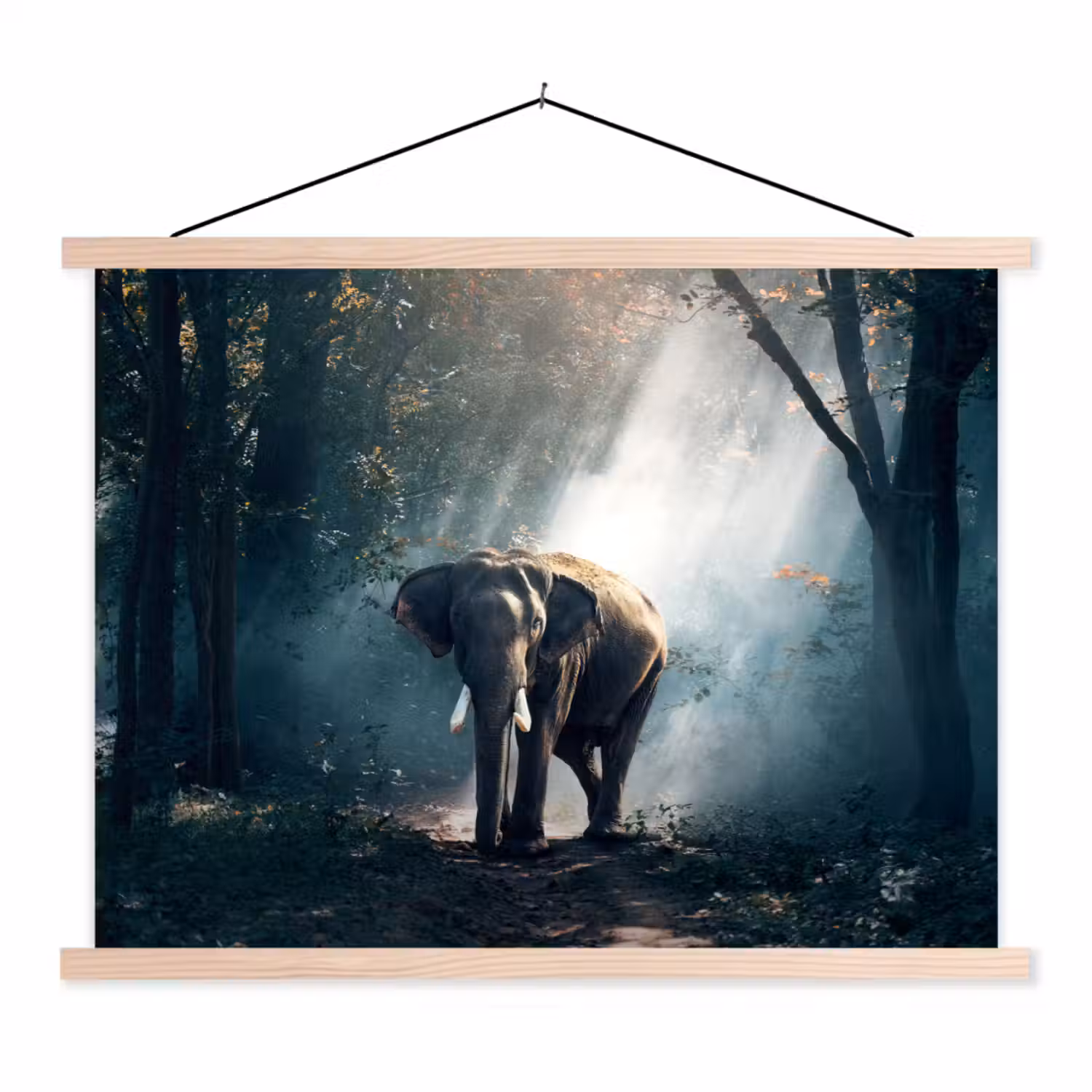Olifant - Dieren - Licht - Bos - Natuur - Wilde dieren textielposter latten blank klein -3d