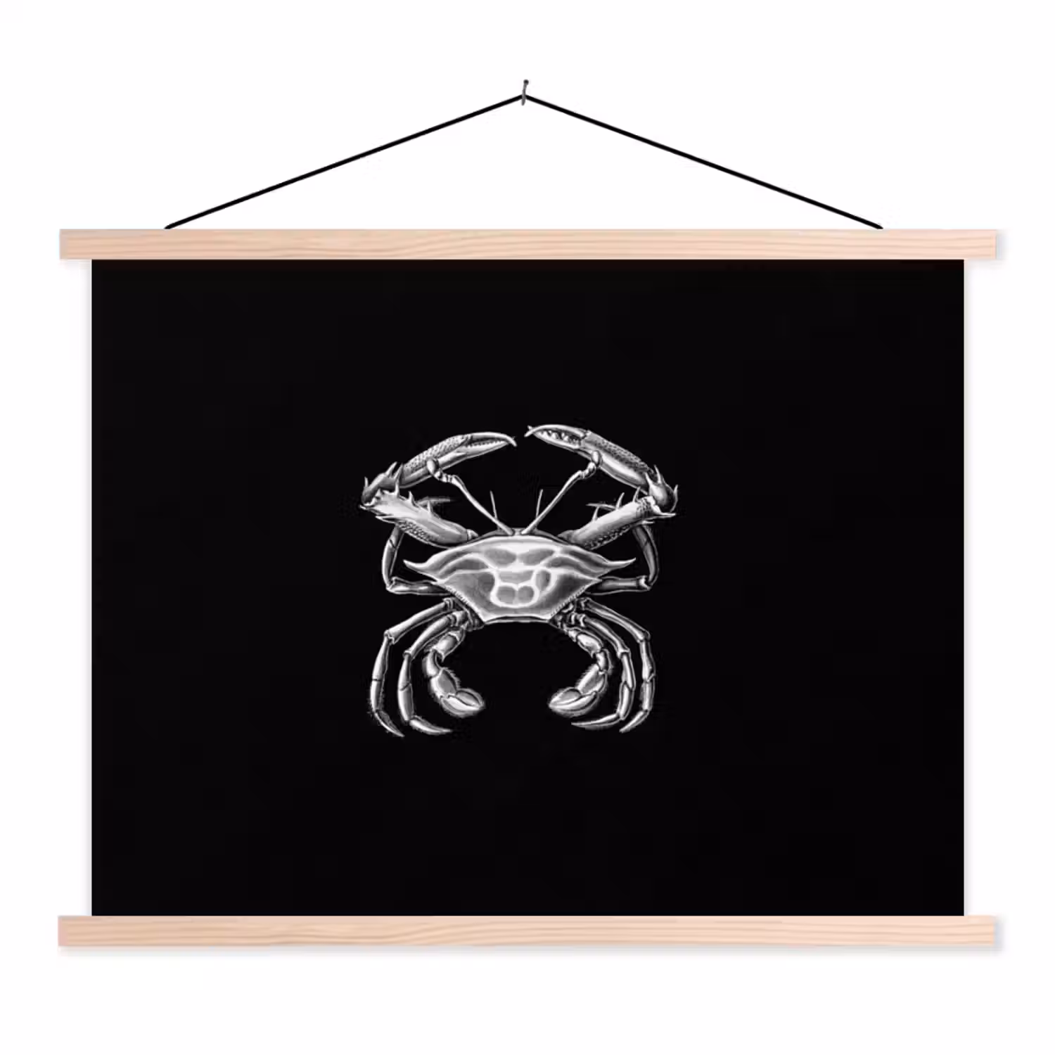Ernst Haeckel - Tuinposter zwart wit - Tuin - Oude meesters - Vintage textielposter latten blank klein -3d