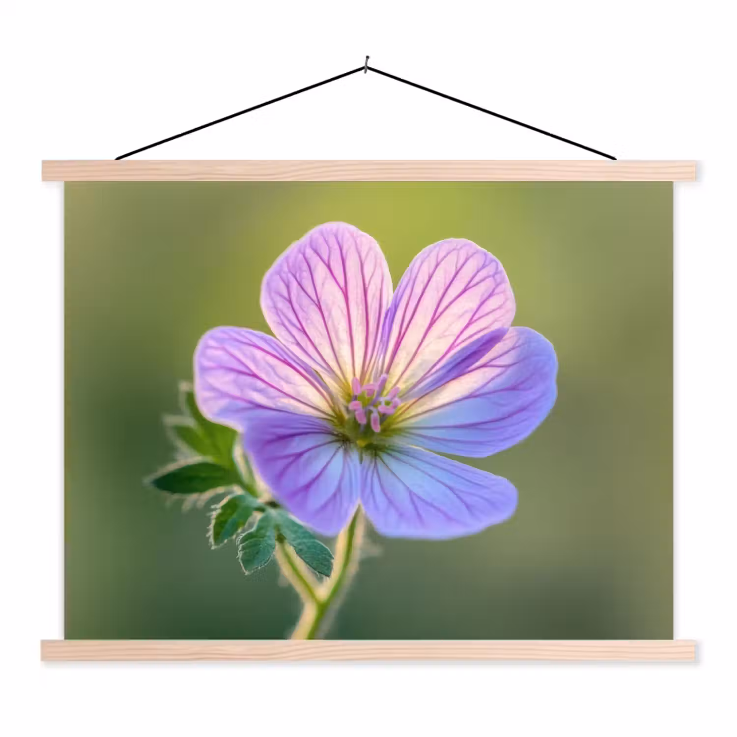 Bloem - Close up - Paars textielposter latten blank klein -3d