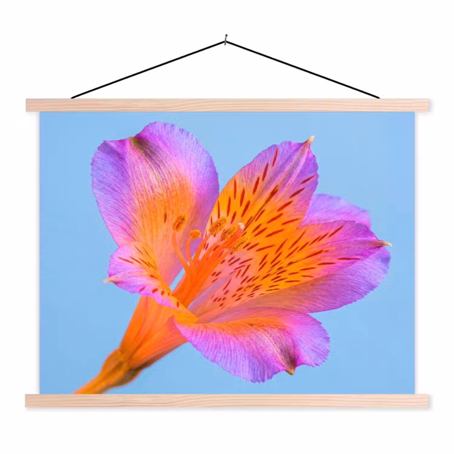 Bloem - Detail - Kleurrijk textielposter latten blank klein -3d