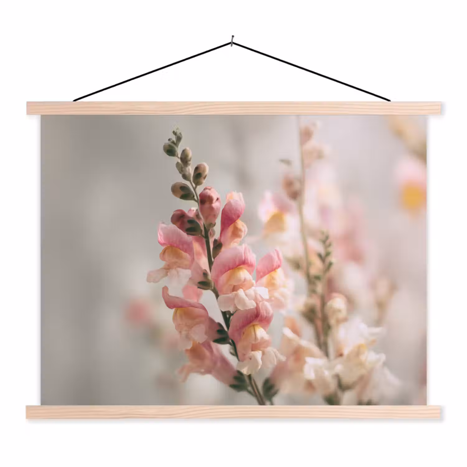 Bloem - Leeuwenbek - Roze - Stengel textielposter latten blank klein -3d
