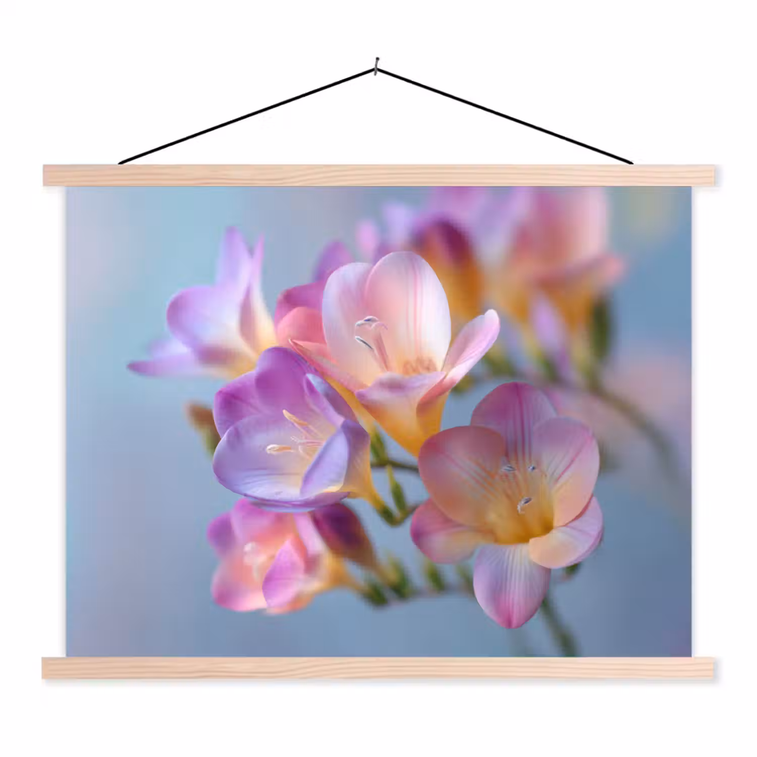 Bloemen - Paars - Overloop - Meeldraden textielposter latten blank klein -3d