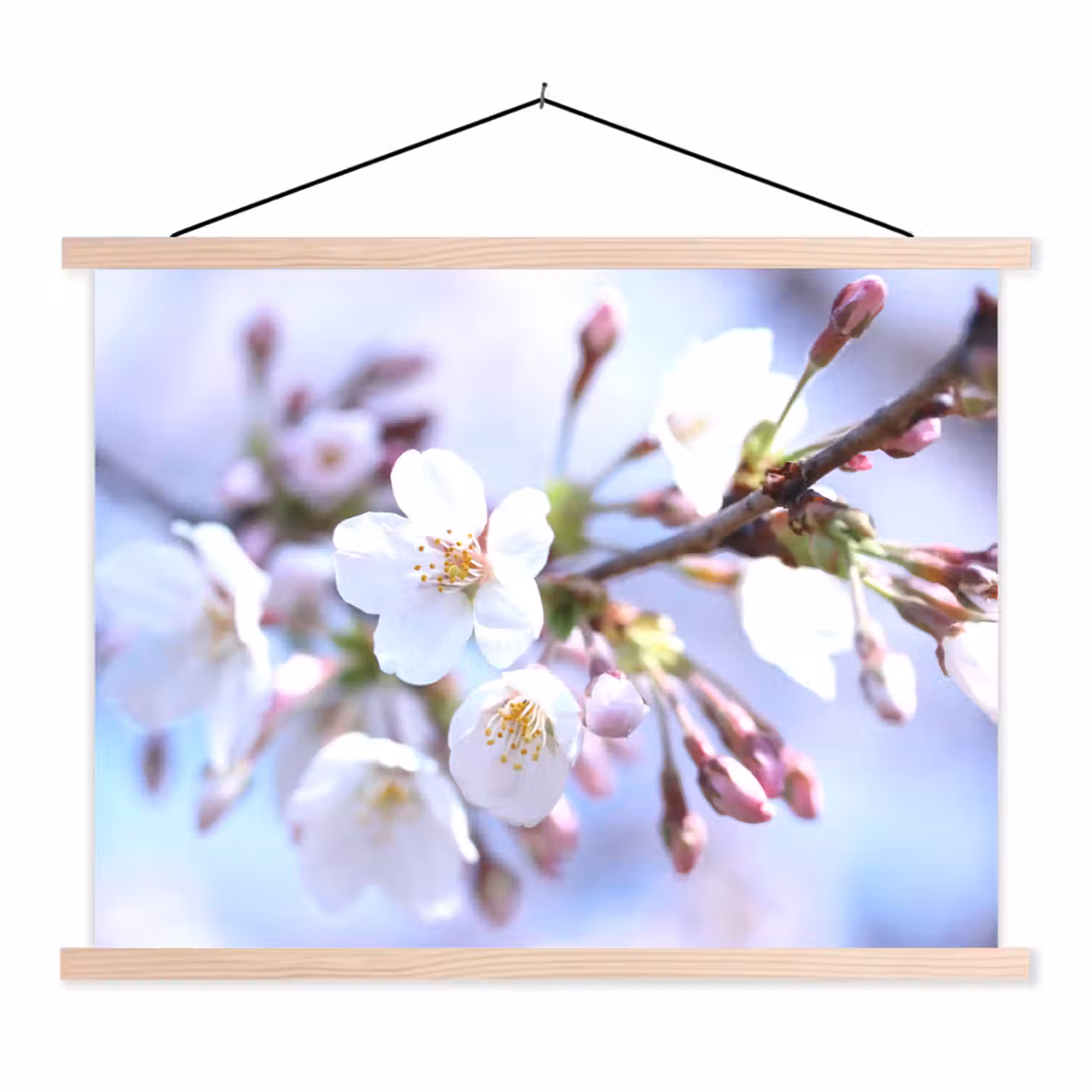 Bloemen - Sakura - Tak - Bloesem takken textielposter latten blank klein -3d