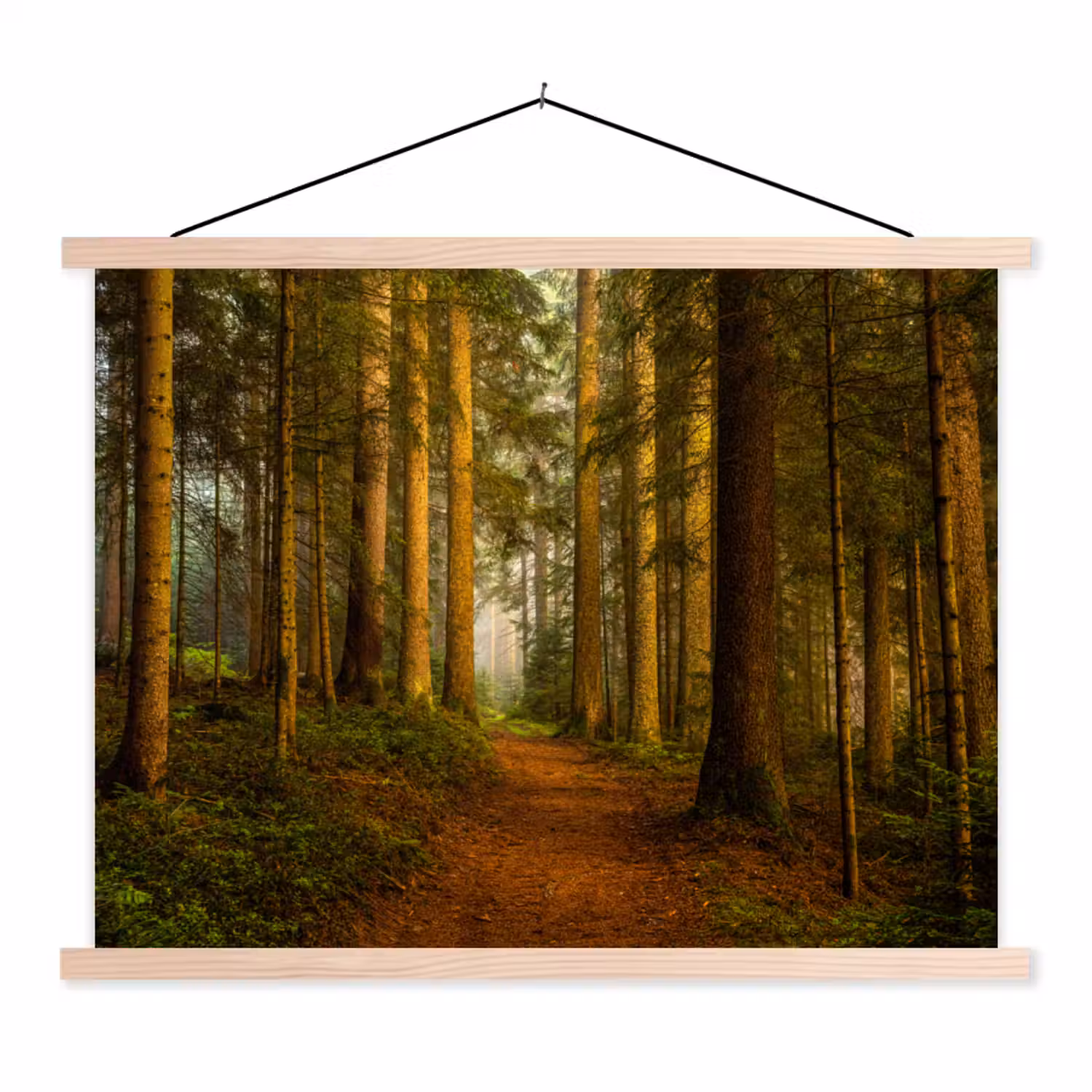 Bos - Natuur - Bomen - Landschap textielposter latten blank klein -3d
