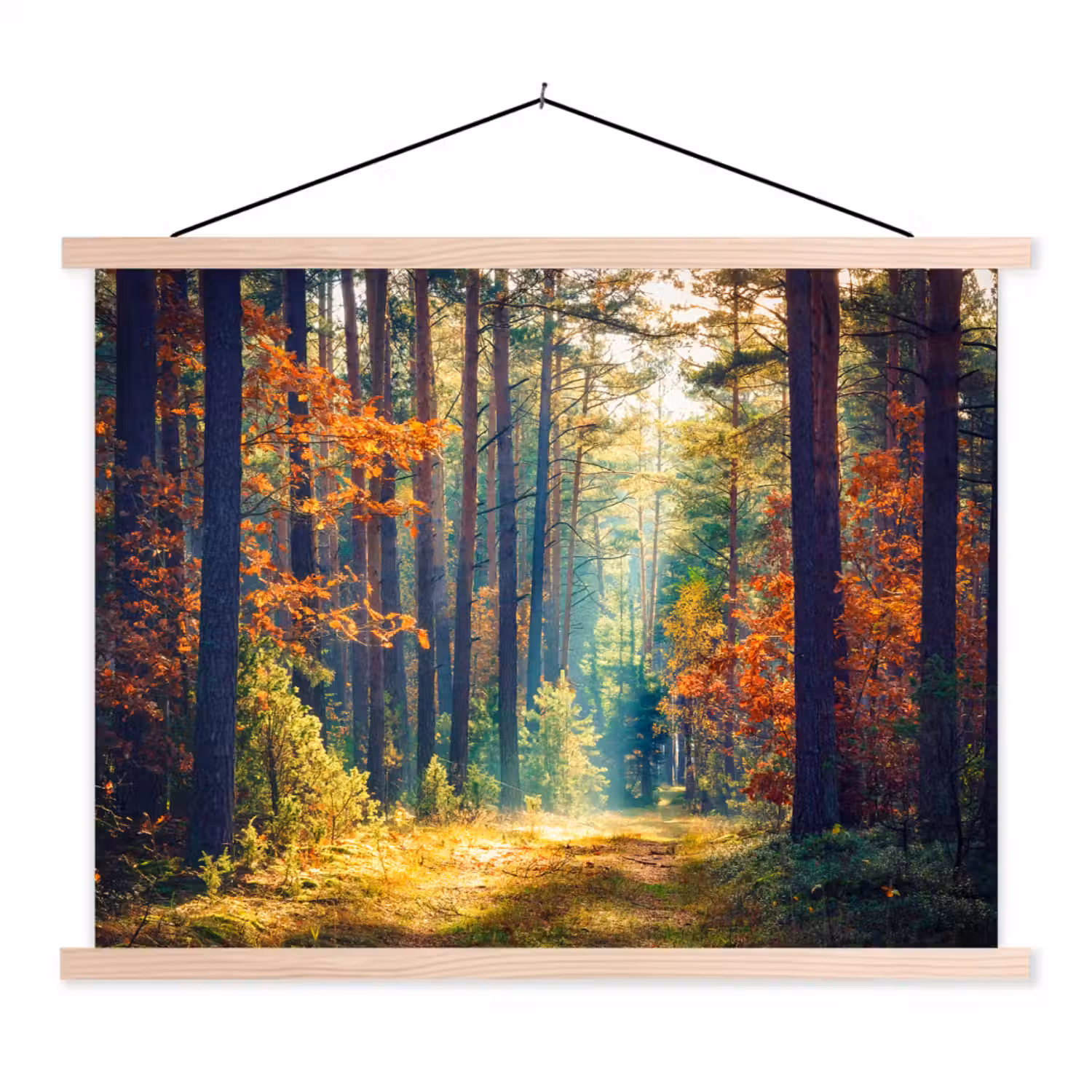 Bos - Zon - Natuur - Herfst textielposter latten blank klein -3d