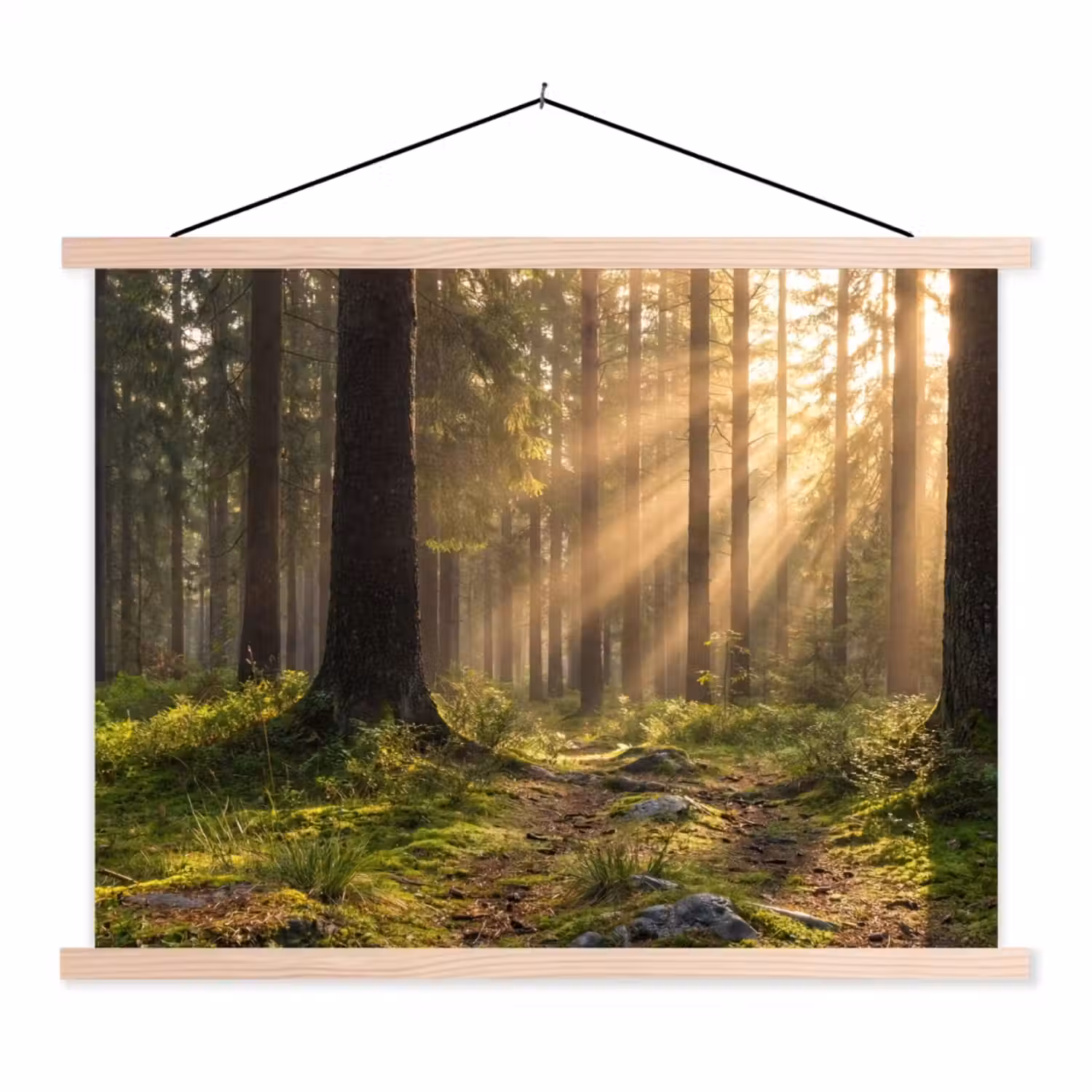 Bos - Zonlicht - Gras textielposter latten blank klein -3d