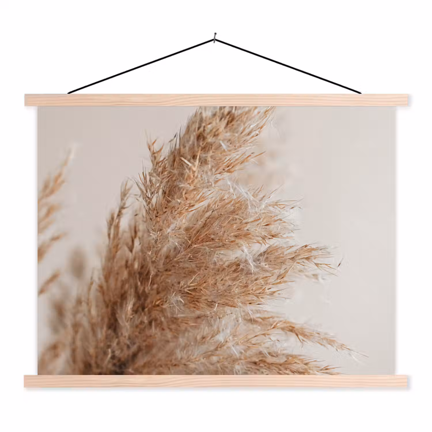 Rijk en pluizig pampagras uit de natuur textielposter latten blank klein -3d