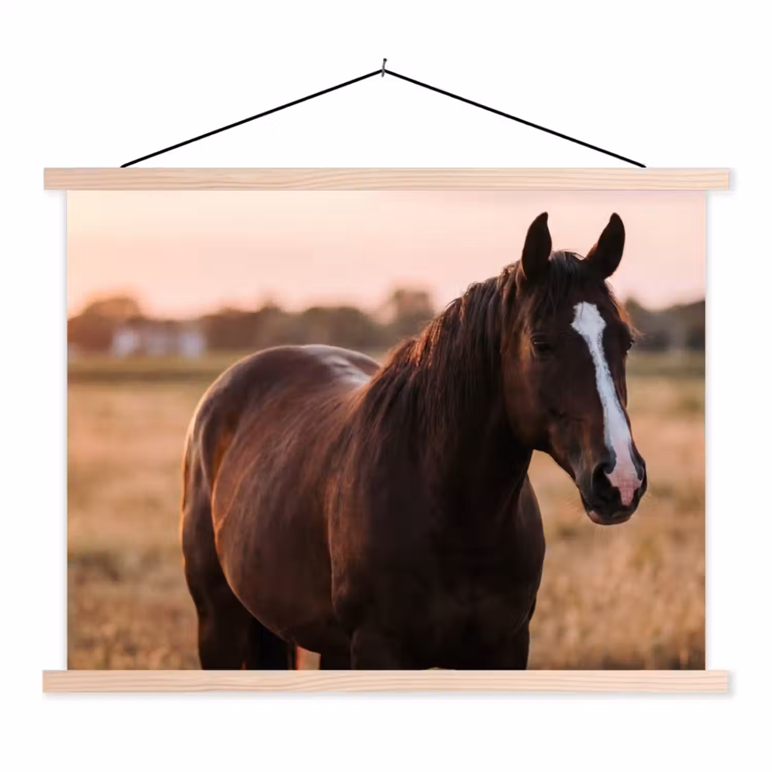 Paard - Zonsondergang - Bruin textielposter latten blank klein -3d