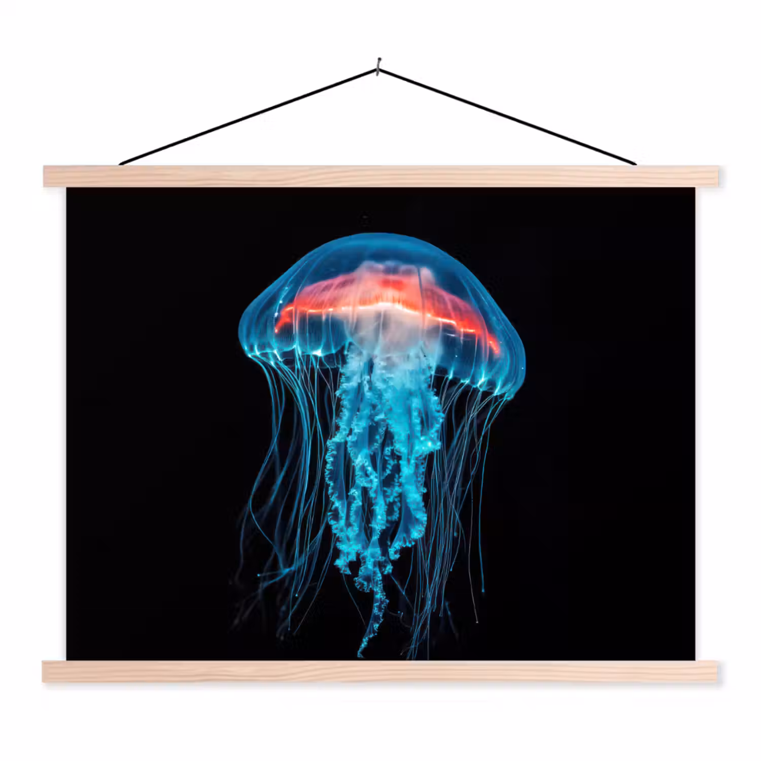 Kwal - Tentakels - Blauw - Licht textielposter latten blank klein -3d