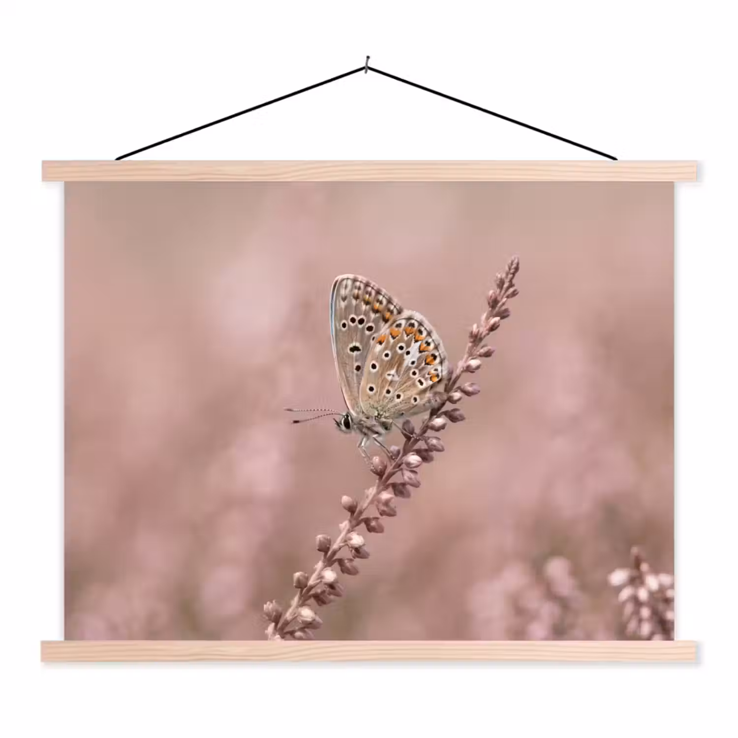 Lavendel - Vlinder - Paars textielposter latten blank klein -3d