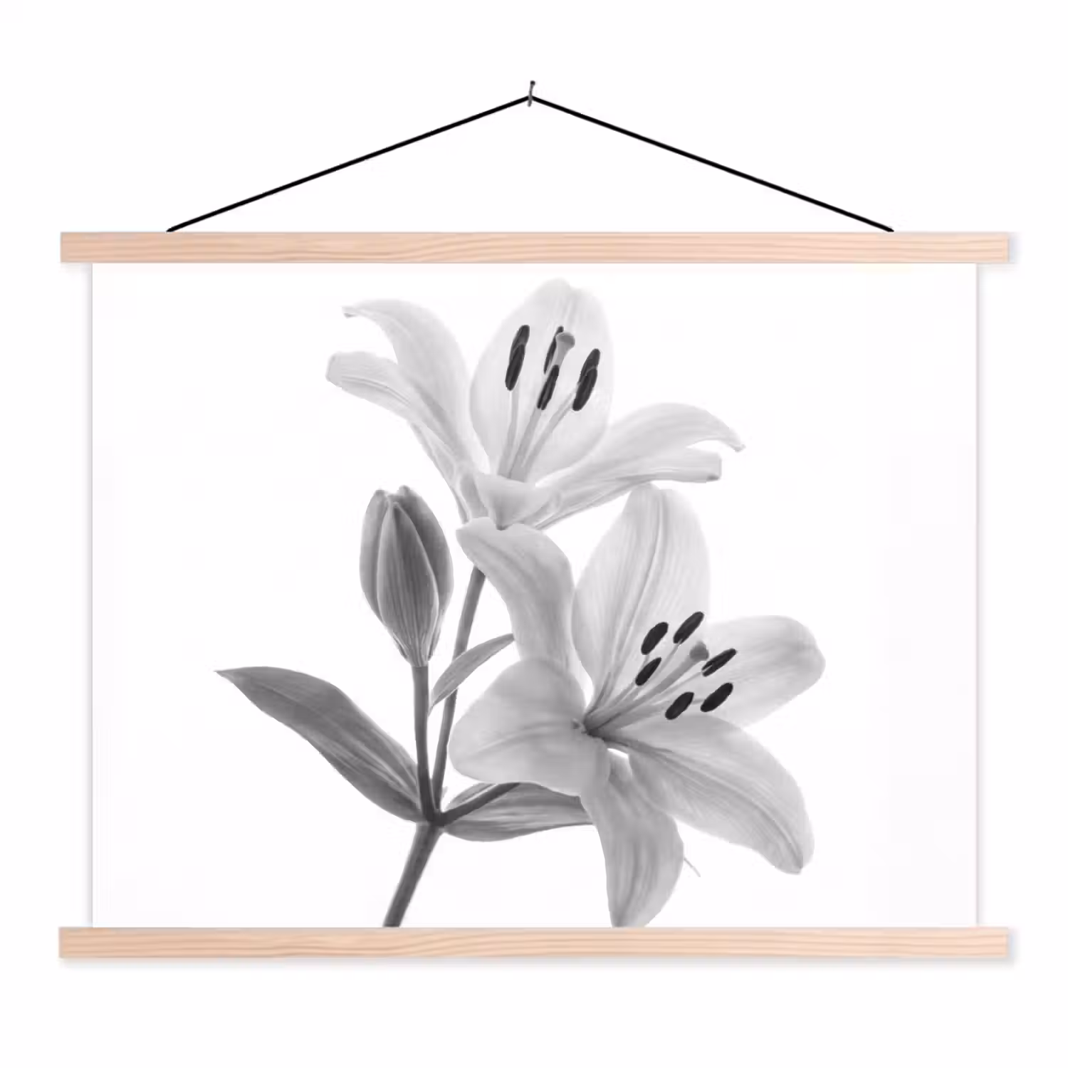 Lelies - Elegant - Zwart - Wit textielposter latten blank klein -3d