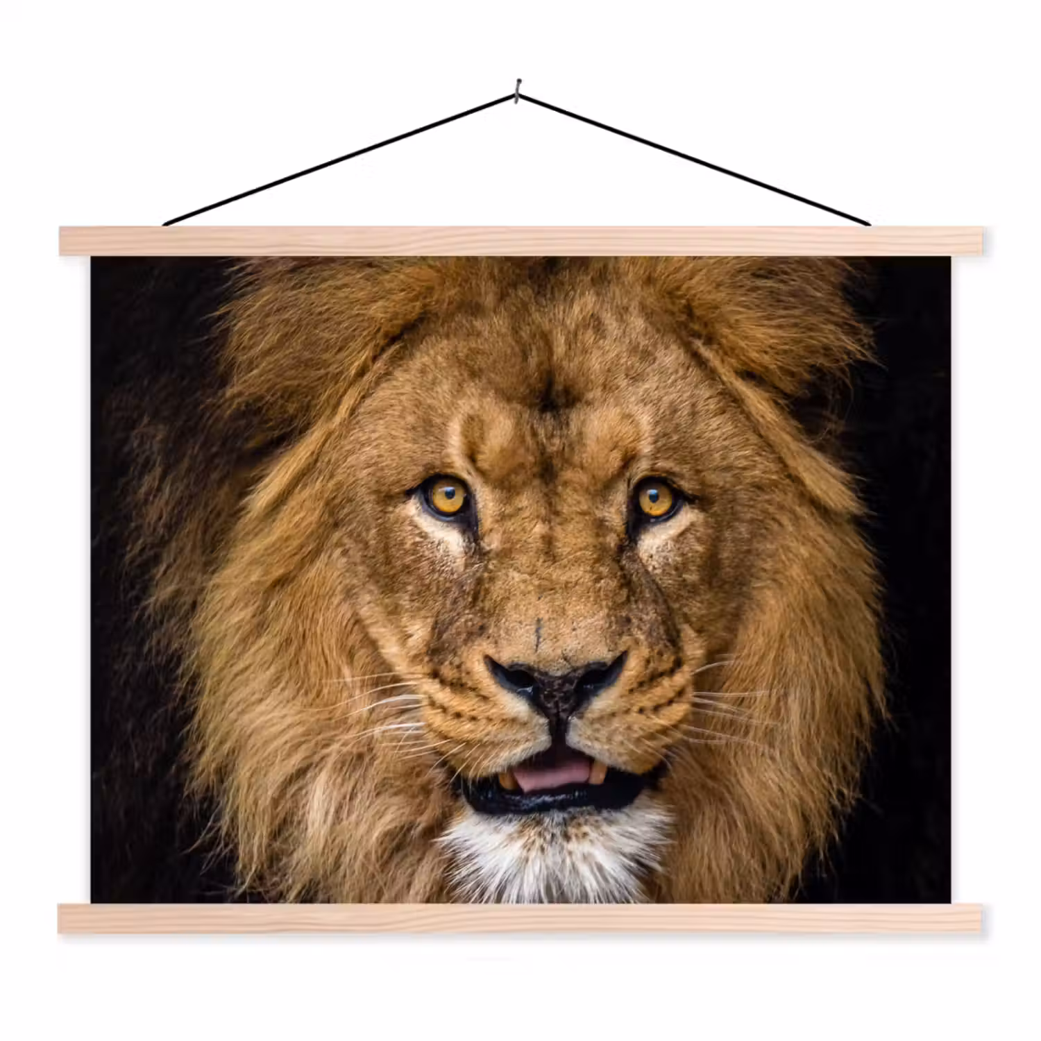Leeuw - Portret - Zwart - Dieren textielposter latten blank klein -3d