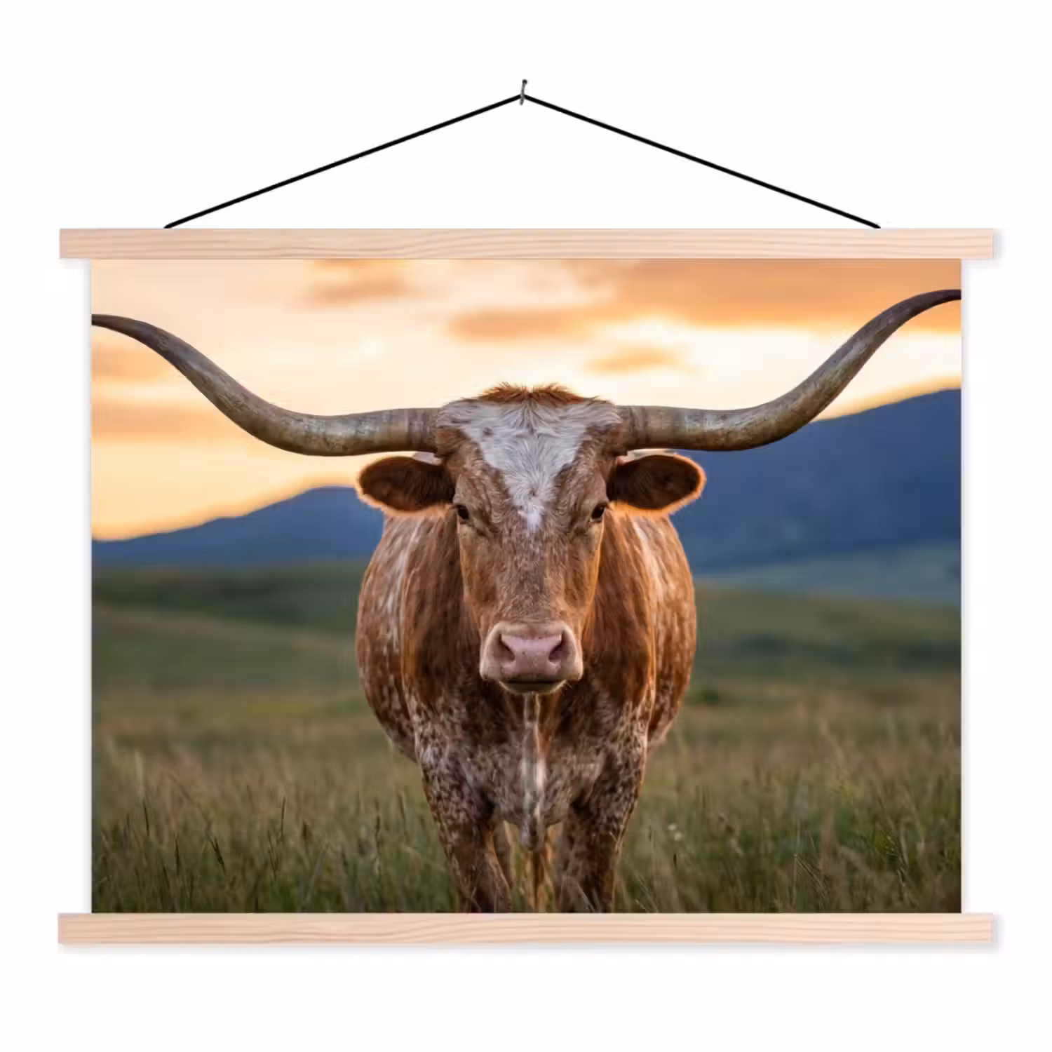 Longhorn - Landschap - Zonsondergang textielposter latten blank klein -3d