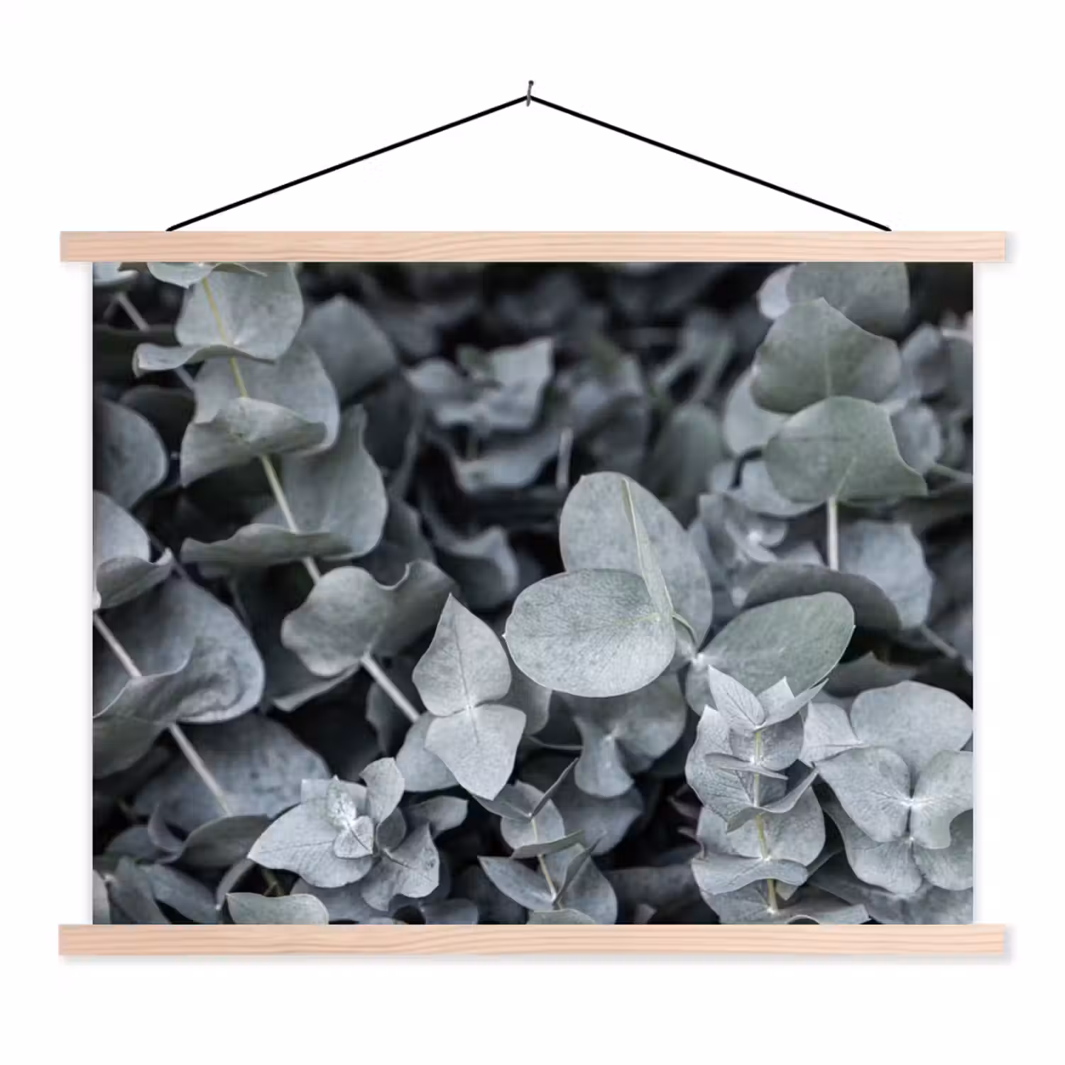 Close-up van eucalyptusplanten uit de natuur textielposter latten blank klein -3d