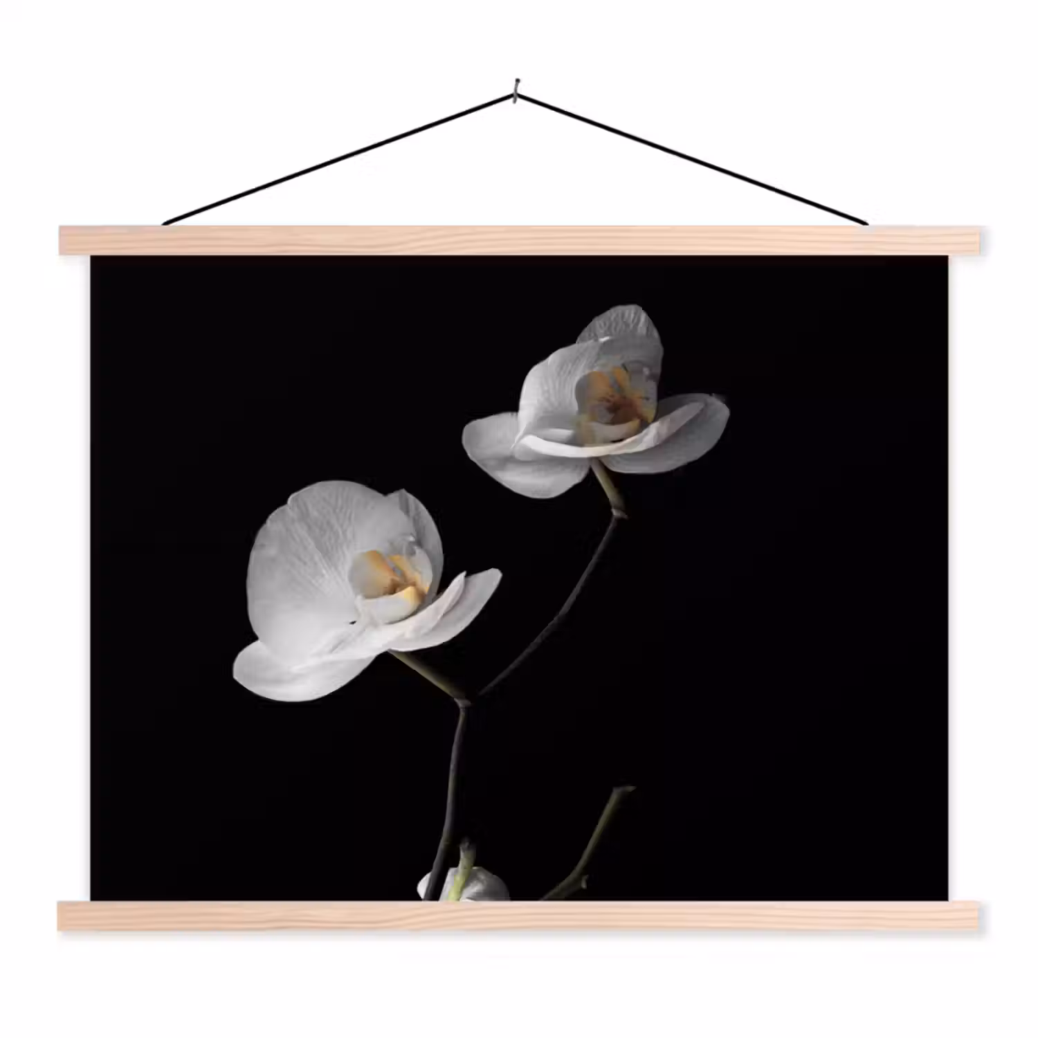 Orchidee - Bloemen - Zwart - Wit - Stilleven textielposter latten blank klein -3d