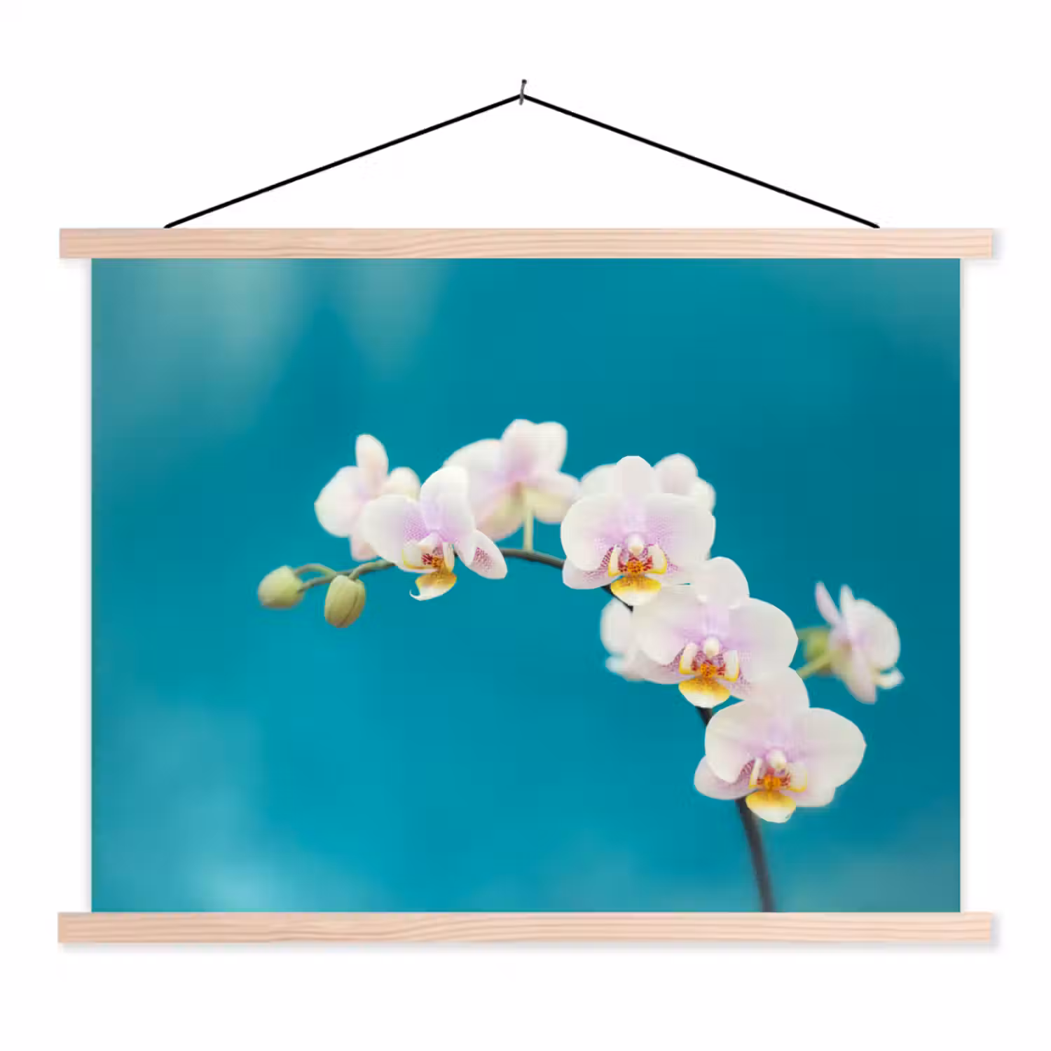 Orchidee - Bloemen - Plant - Wit - Paars textielposter latten blank klein -3d